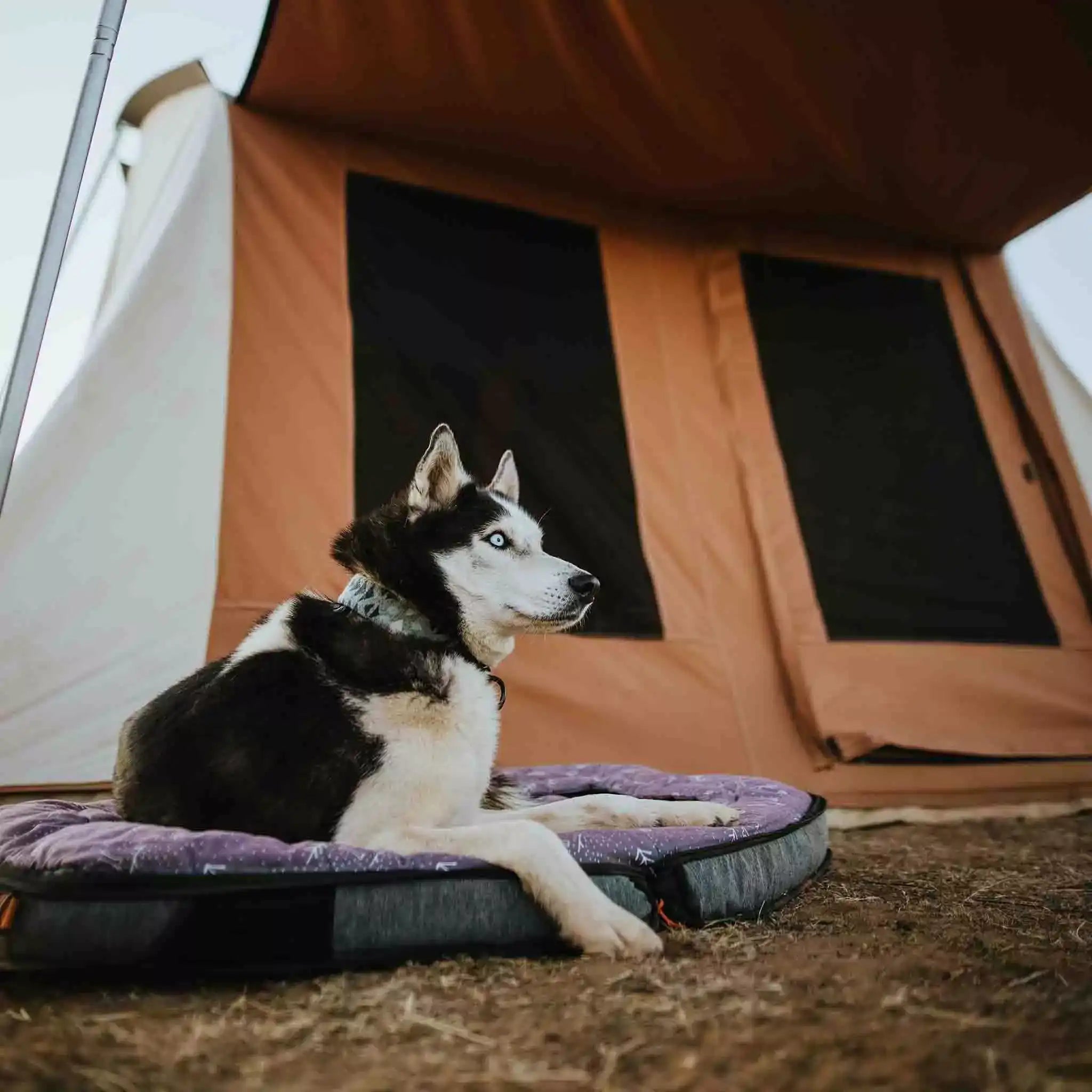10'x10' Prota Canvas Tent - Premium Waterproof Camping Tent for Outdoor Adventures, Family Camping, and Backpacking Trips