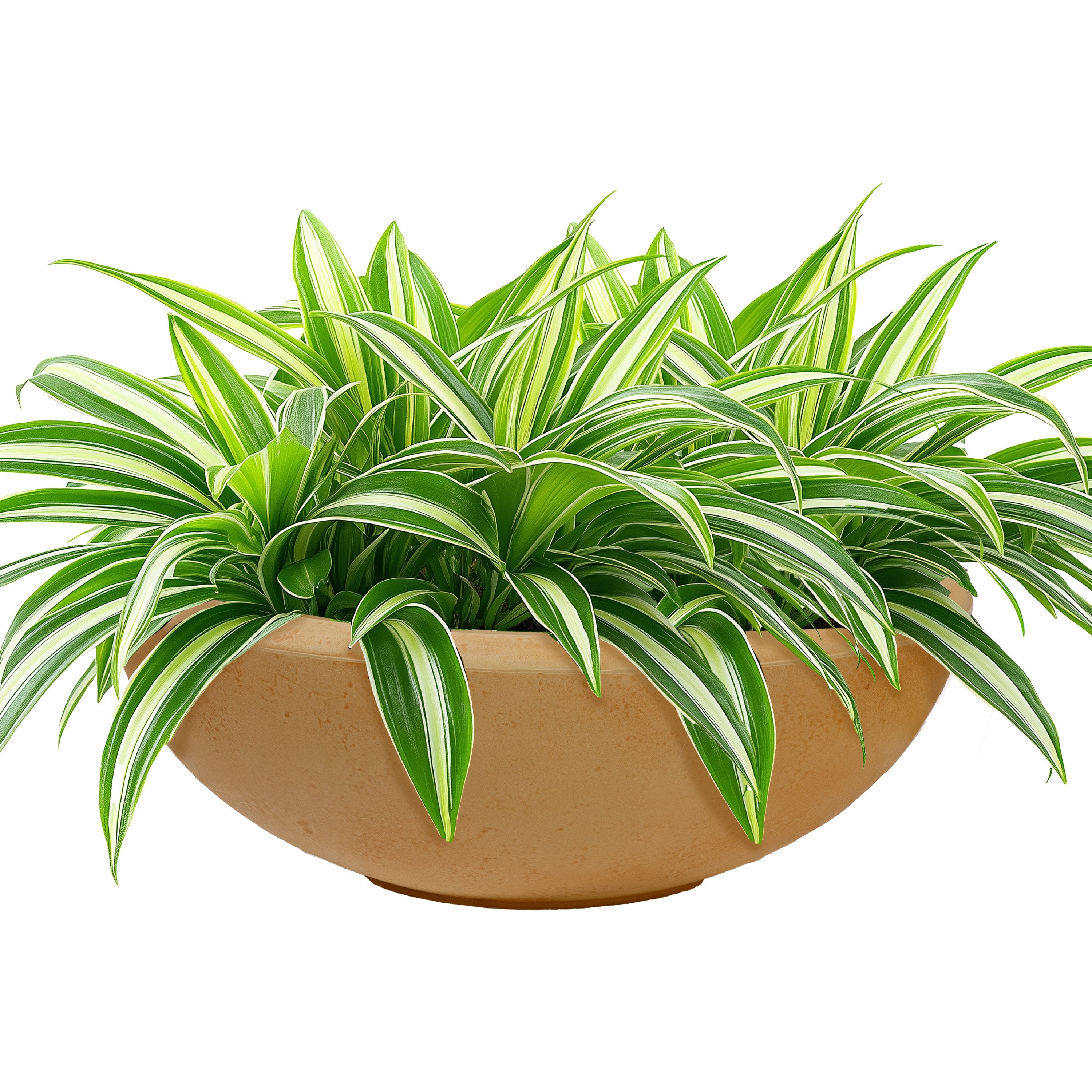 20.75 Inch Sunnydaze Percival Polyresin Outdoor Planter Bowl - Durable Garden Decor for Patio, Porch & Backyard Landscaping
