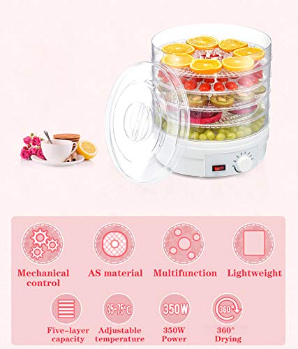 110V AnEssOil Food Dehydrator - Stainless Steel Electric Drying Machine for Fruits, Vegetables, Herbs & Meat | Healthy Snacks Maker for Home, Camping & Food Preservation