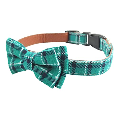 Cyan Plaid