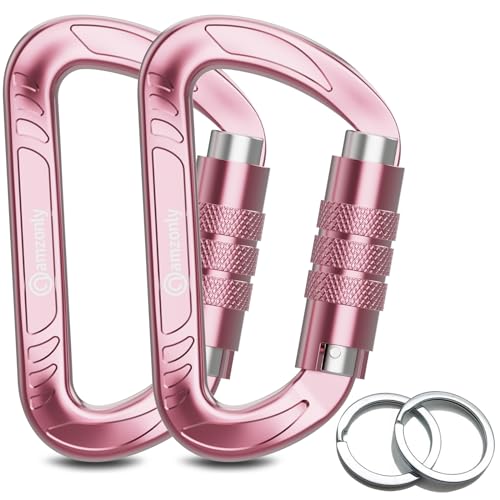 Auto-pink02