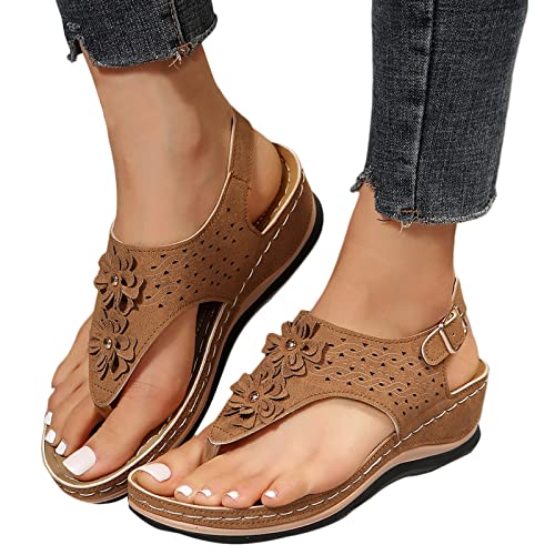 Z03-brown