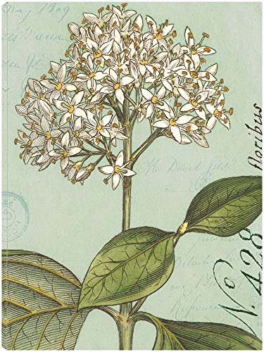 Botanique Bleu IV