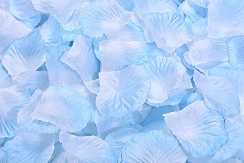 Light Sky Blue and White