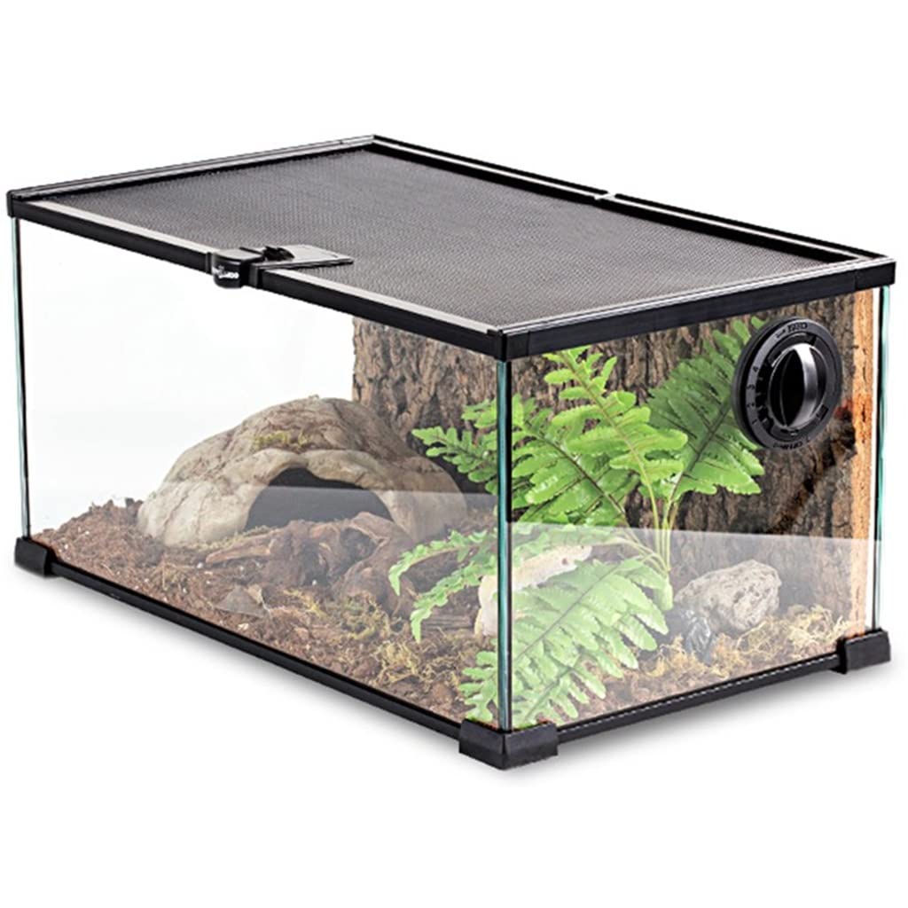 Premium Glass Reptile Terrarium with Thermostat Control - Ideal Habitat for Leopard Geckos, Tarantulas & Lizards | Perfect for Home, Office or Classroom Reptile Enclosures