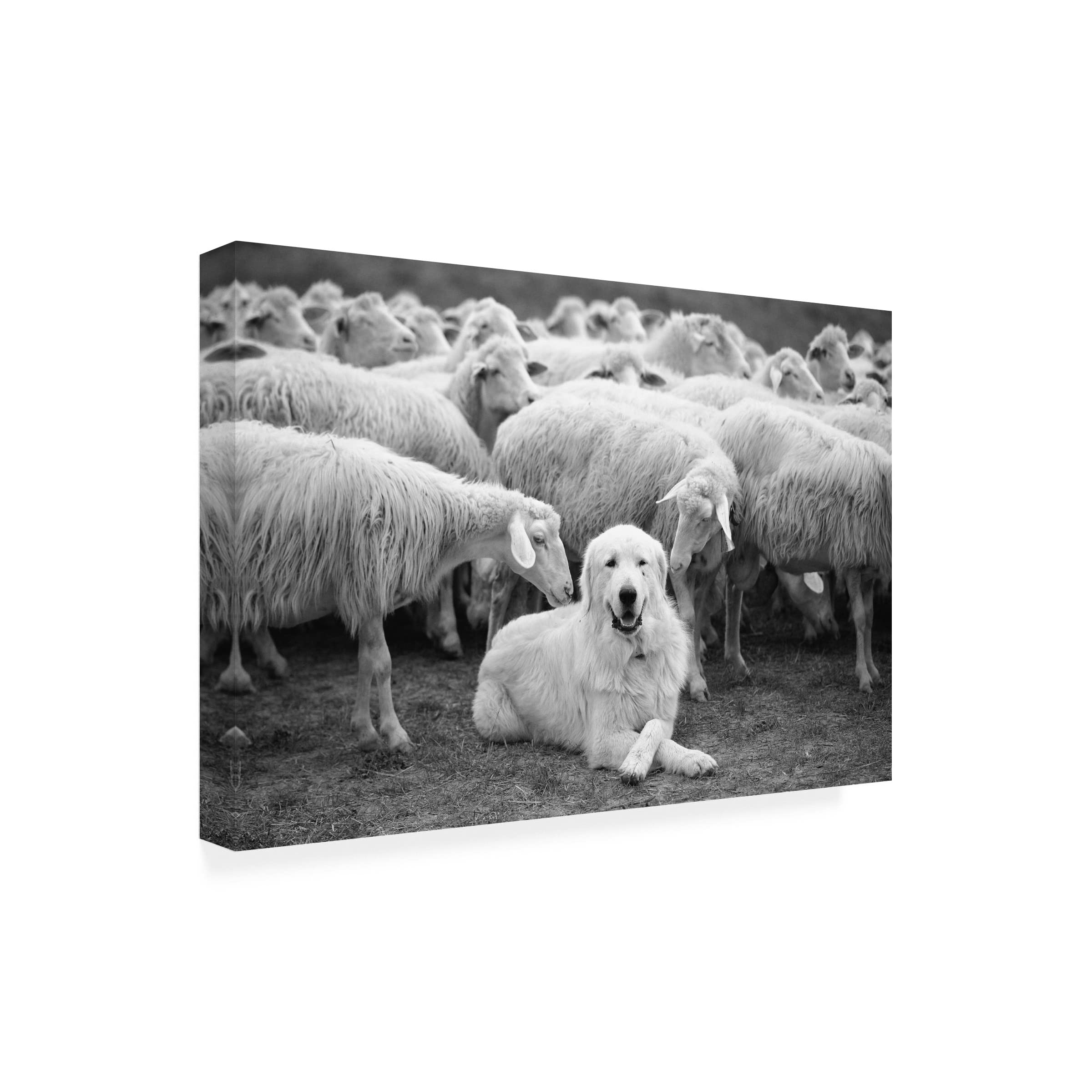Trademark Fine Art 'The Boss Dog' Canvas Wall Art by Lucian Constantin - Premium Home & Office Decor for Dog Lovers