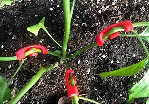 (35 Pack) 90 Degree Plant Bender Clips - Low Stress Training (LST) Tools for Stronger Stems & Healthier Plants - Garden Plant Support Clips for Indoor/Outdoor Gardening, Hydroponics & Bonsai Training