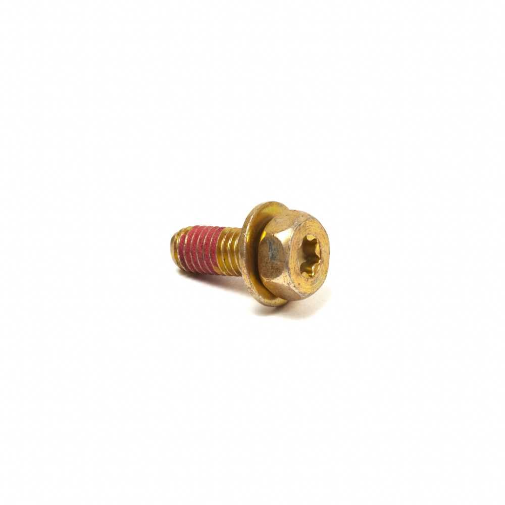 Briggs & Stratton 793567 Genuine OEM Starter Motor Drive Cap Screw for Lawn Mower & Garden Equipment - Perfect for Engine Repair & Maintenance
