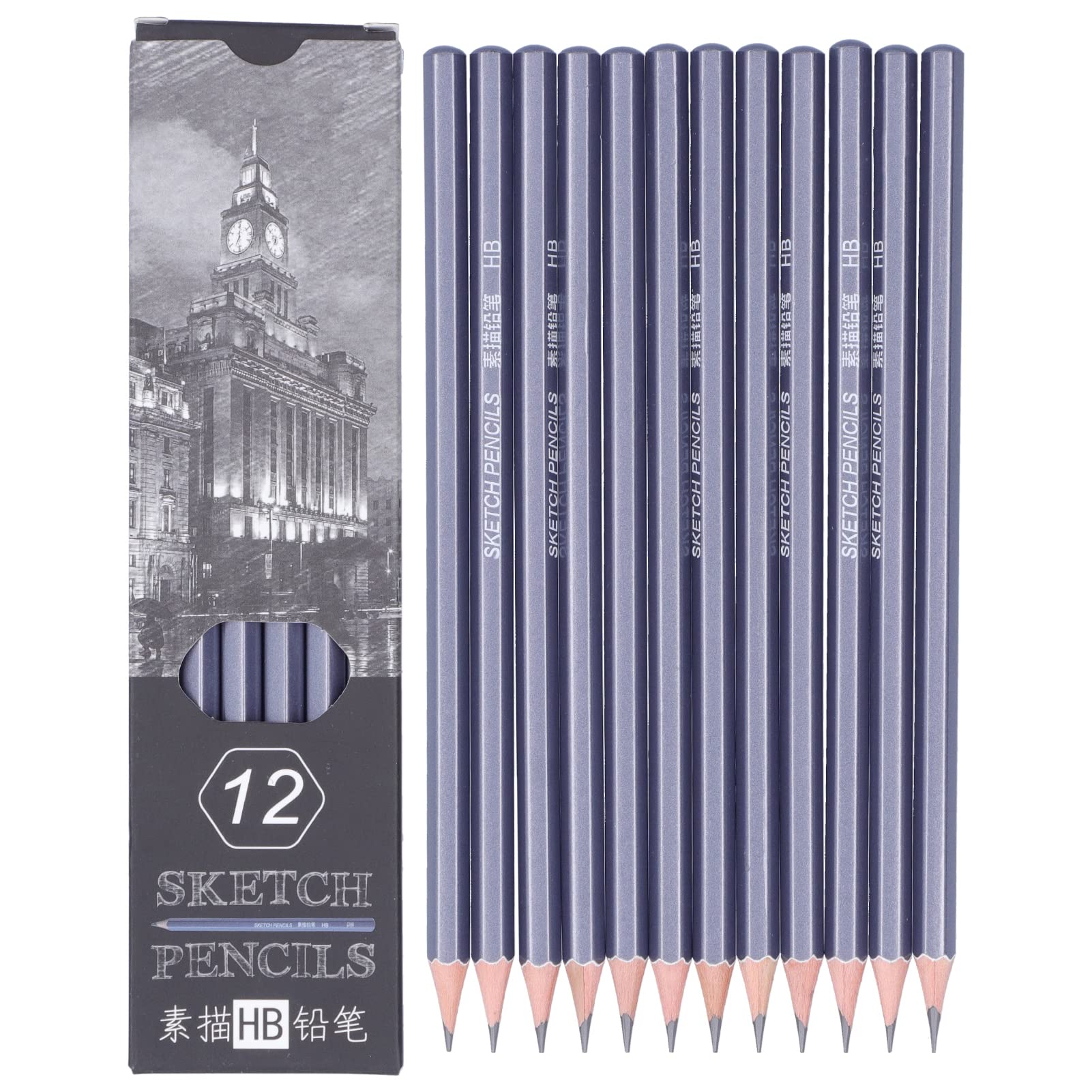 Pssopp 12-Piece Professional Sketch Drawing Pencils Set - Graphite & Charcoal Art Pencils for Artists, Beginners, Kids & Adults - Perfect for Sketching, Shading, Doodling & Creative Art Projects