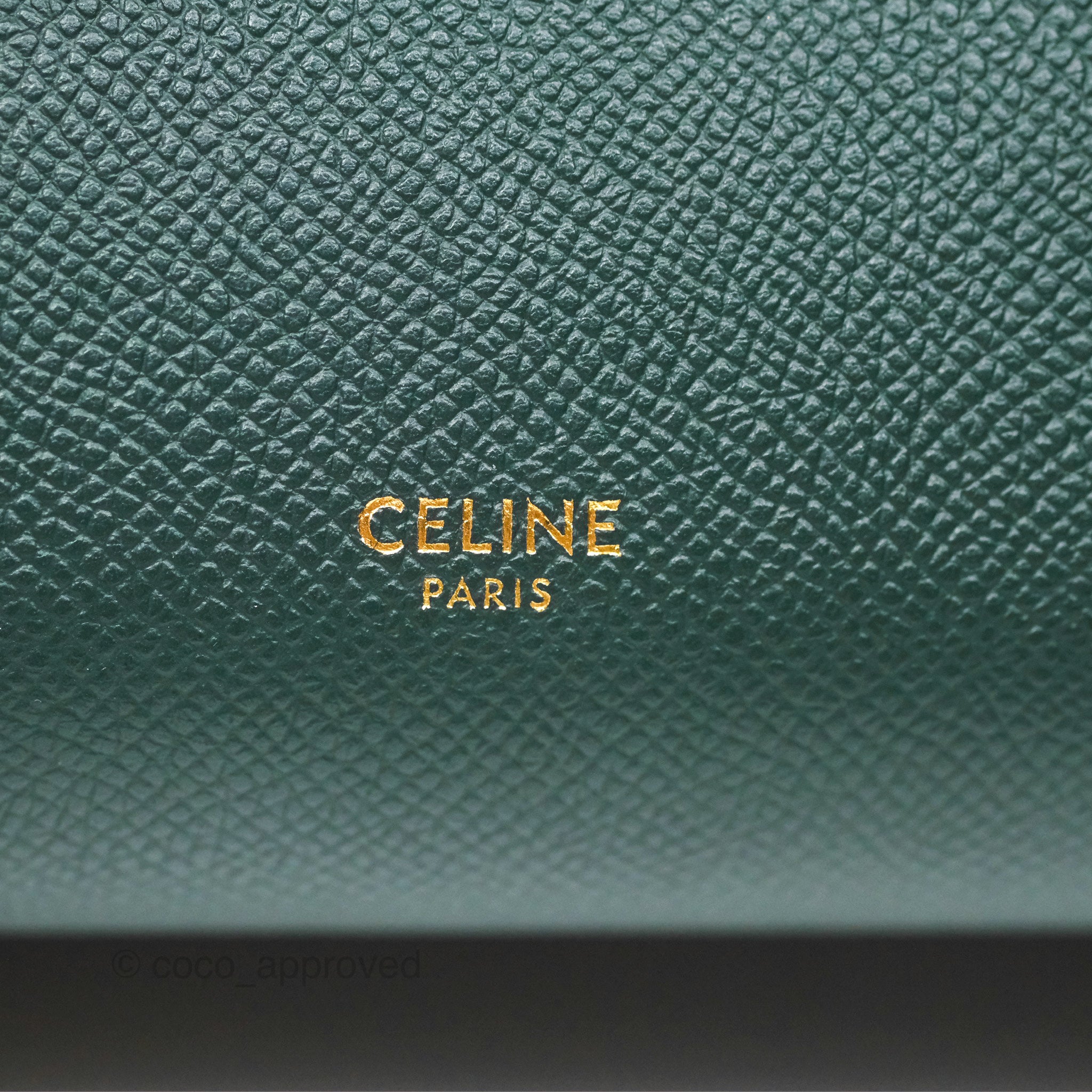 Celine Nano Belt Bag in Amazone Grained Calfskin with Gold Hardware - Perfect for Everyday Use, Work & Travel