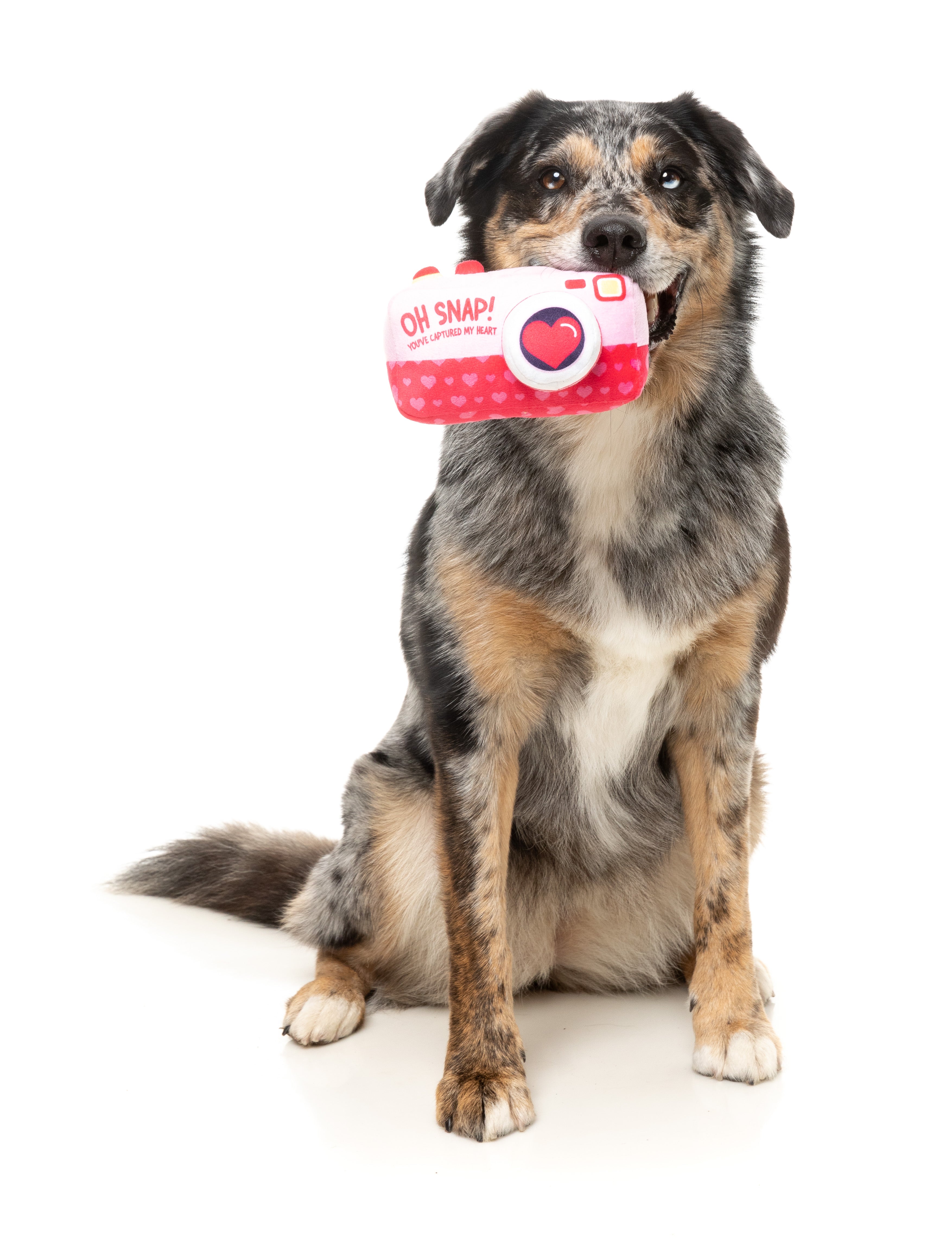 FuzzYard Oh Snap Camera Plush Dog Toy - Valentine's Day Gift for Dogs, Durable & Cute Puppy Chew Toy for Small & Medium Breeds - Perfect for Playtime, Training Rewards & Photo Props