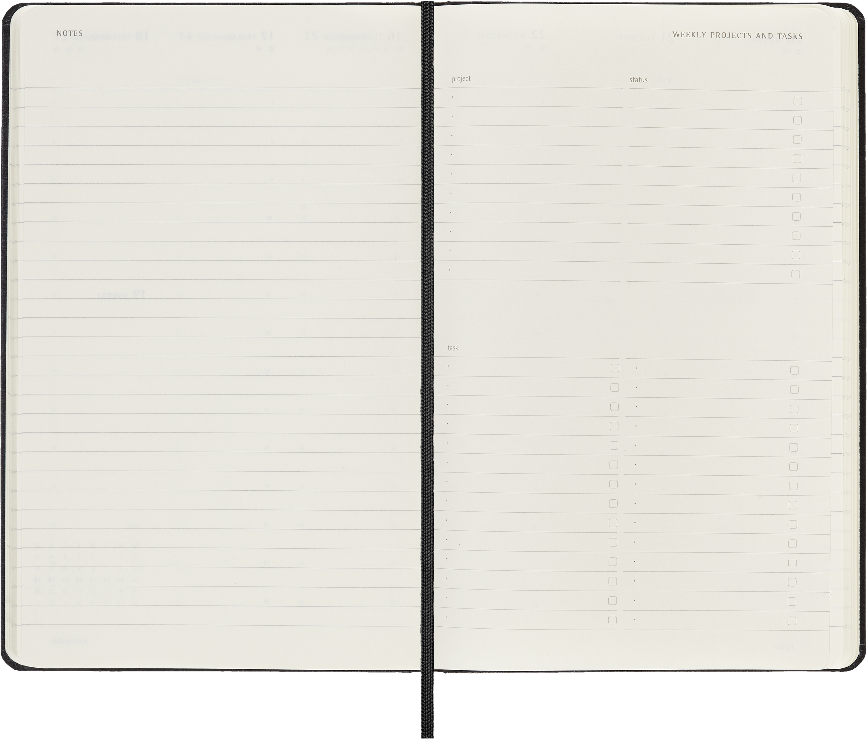 2025 Moleskine Professional Planner - 5.1