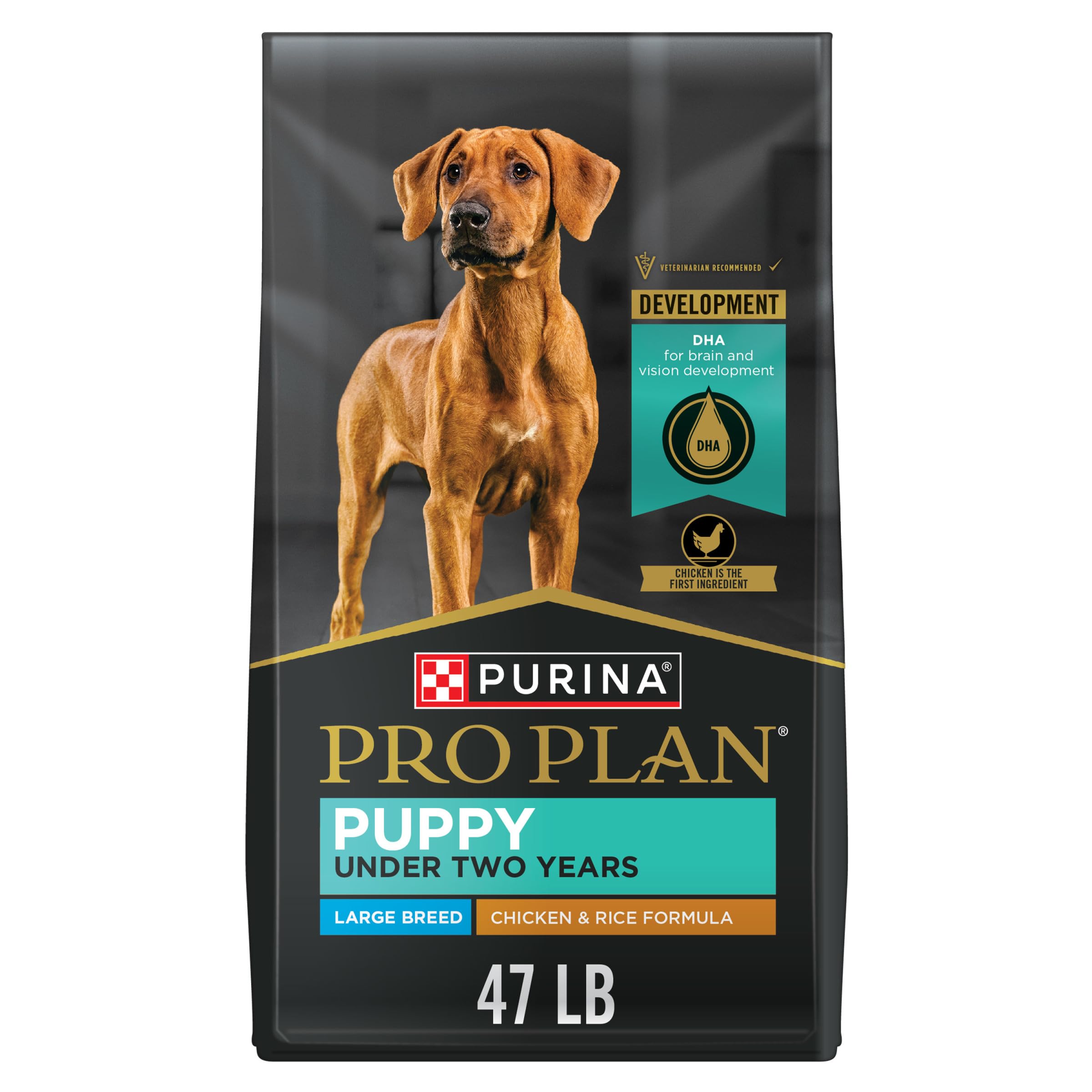 Purina Pro Plan Large Breed Dry Puppy Food - Chicken & Rice Formula for Large Breed Puppies - 47 lb Bag - High Protein Nutrition for Healthy Growth & Development - Ideal for Golden Retrievers, Labradors & Large Breed Puppies