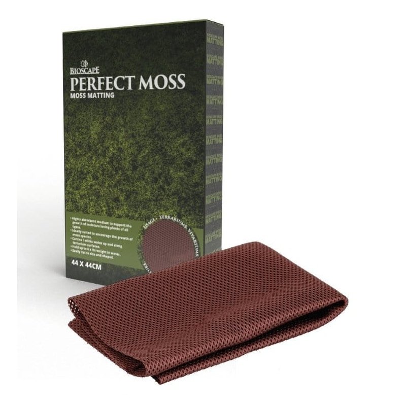 Premium Bioscape Moss Matting 44 x 44cm - Natural Decorative Moss Carpet for Terrariums, Fairy Gardens & Home Decor | Enhances Indoor Greenery & Zen Spaces