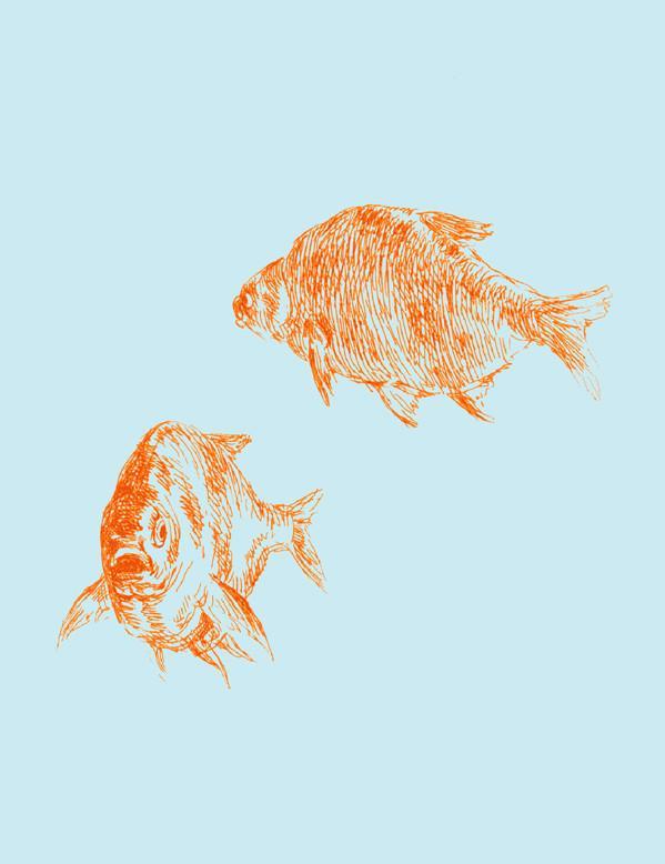 Nathan Turner Goldfish Wallpaper - Glacier Blue Design for Home Decor & Nursery Room Accent