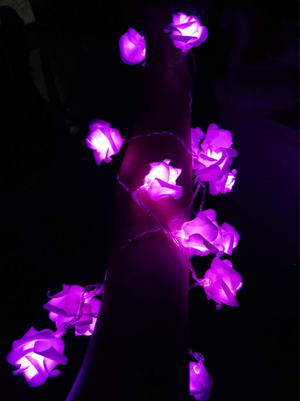 Fantasee Purple LED Rose Flower String Lights - 6.6ft 20 LEDs Battery Operated Fairy Lights for Wedding, Proposal, Home Decor, Party & Outdoor Decorations | Romantic Ambiance for Bedroom, Garden & Special Events