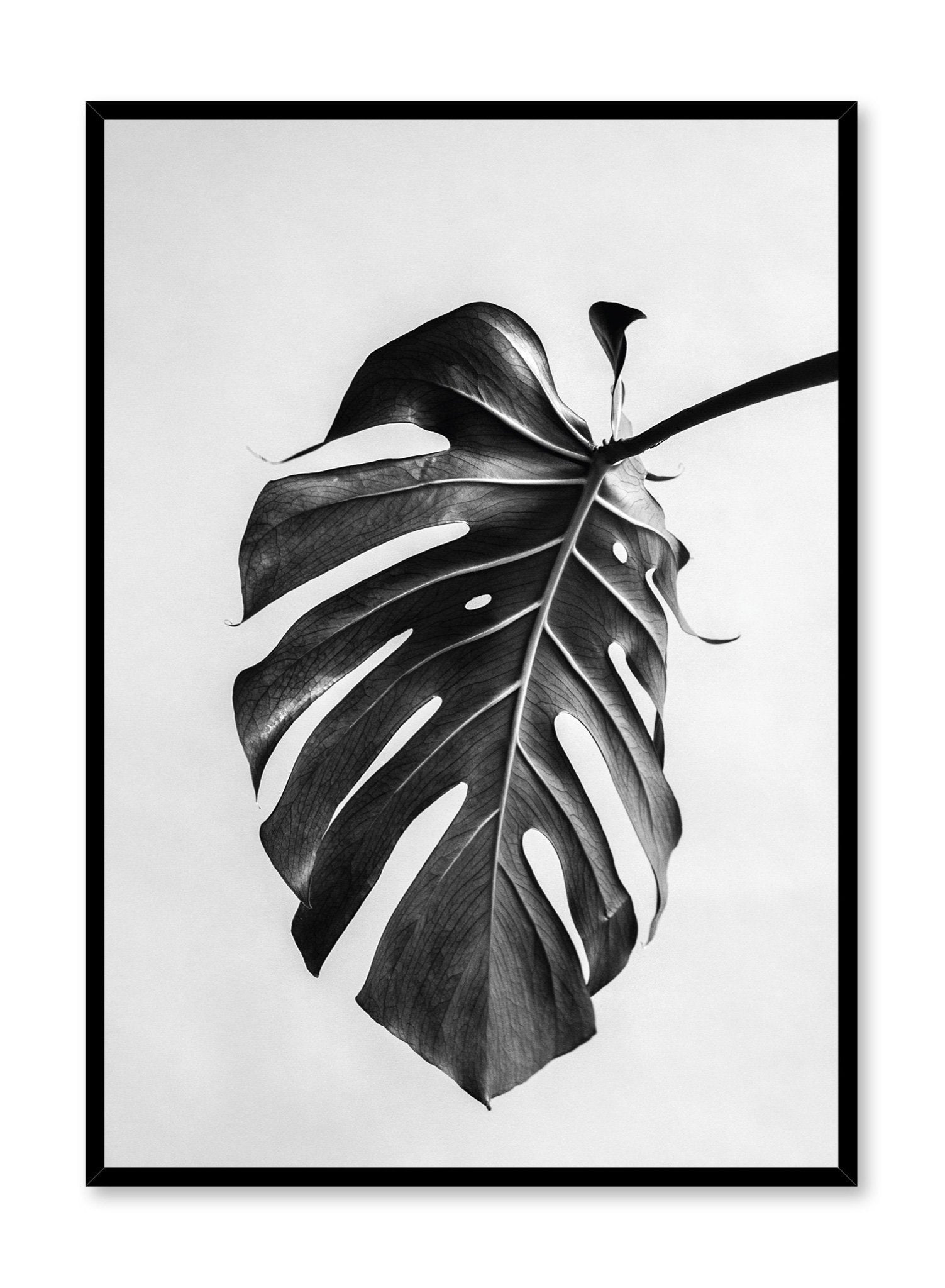 Nature's Upside Poster - Inspirational Wall Art Decor for Home & Office - Perfect for Living Room, Bedroom, or Workspace Motivation