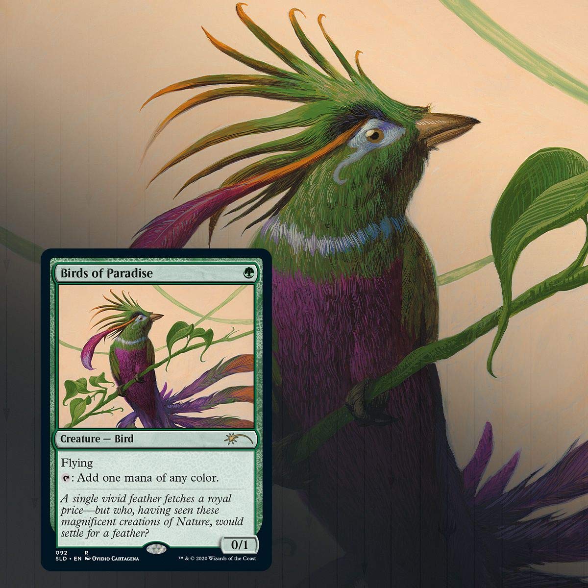 Magic: The Gathering Secret Lair - MTG Summer Superdrop Ornithological Studies Collector's Edition | Rare MTG Cards for Deck Building & Strategy Games | Perfect for MTG Tournaments, Game Nights & Collectors