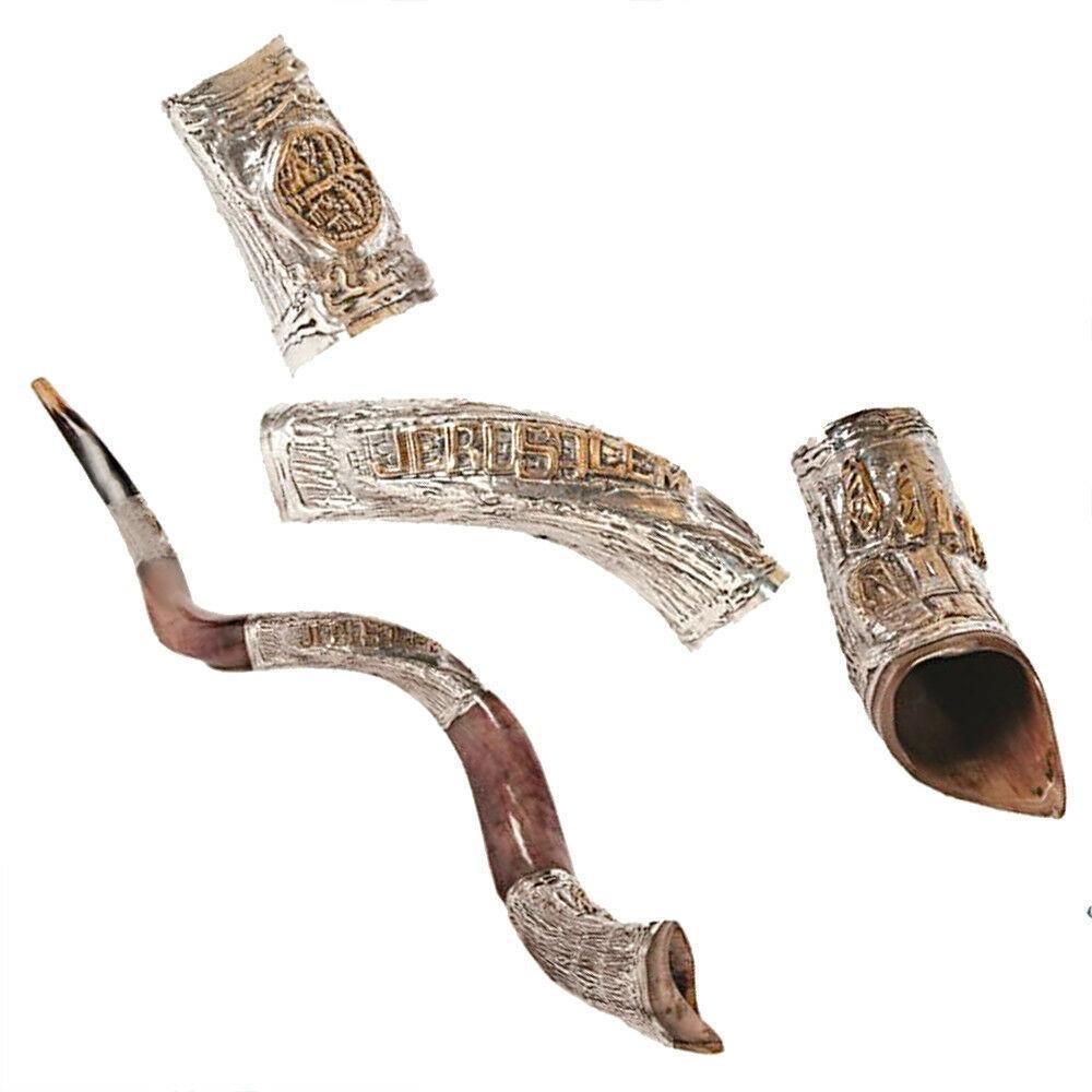 Natural Kosher Silver Plated Yemenite Shofar Kudu Horn - 35-39 Inches (90-99 cm) - Authentic Jewish Religious Ceremonial Instrument for Rosh Hashanah, Synagogue Worship & Spiritual Cleansing