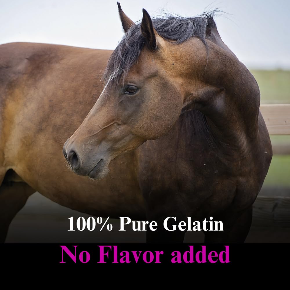 Premium Horse Hoof Supplement with Gelatin Powder for Joint Support & Healthy Hooves Growth - 2.5lb (2 Pack) - Ideal for Equine Hoof Care & Joint Maintenance in Training & Recovery