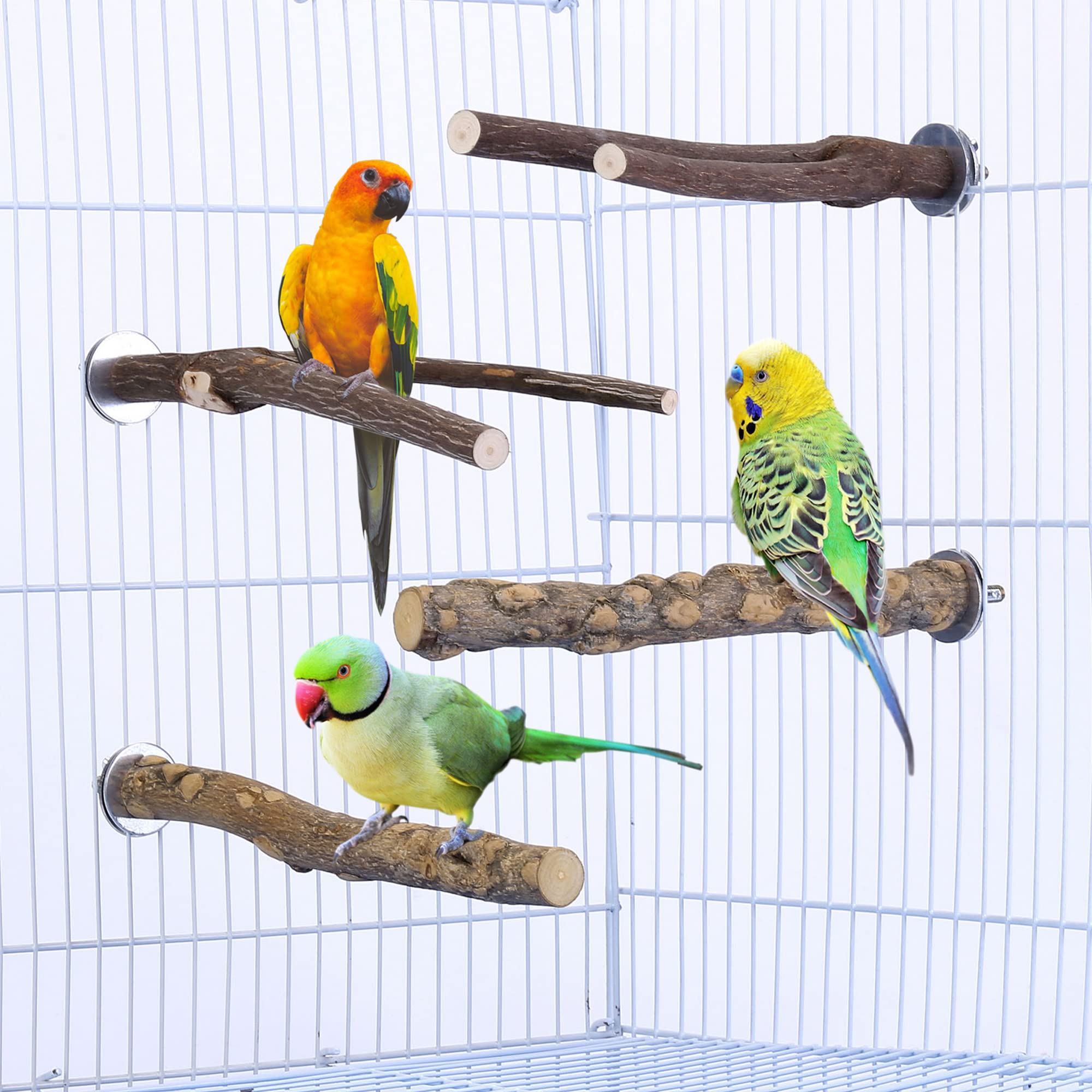 Natural Wood Bird Perches - 4 Pcs Parrot Stand & Platform for Conures, Budgies, Parakeets | Cage Accessories & Toys for Small Birds - Perfect for Play, Rest & Exercise in Your Pet Bird's Habitat