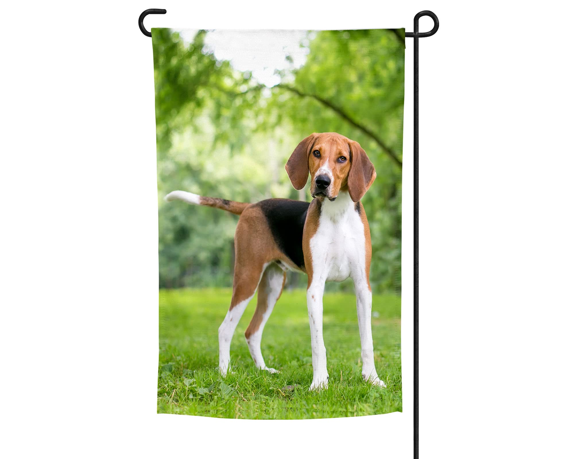 American Foxhound Garden Flag - Double-Sided Outdoor Decor for Dog Lovers | Perfect for Yard, Patio, Garden & Home Decoration | Unique Gift for American Foxhound Enthusiasts