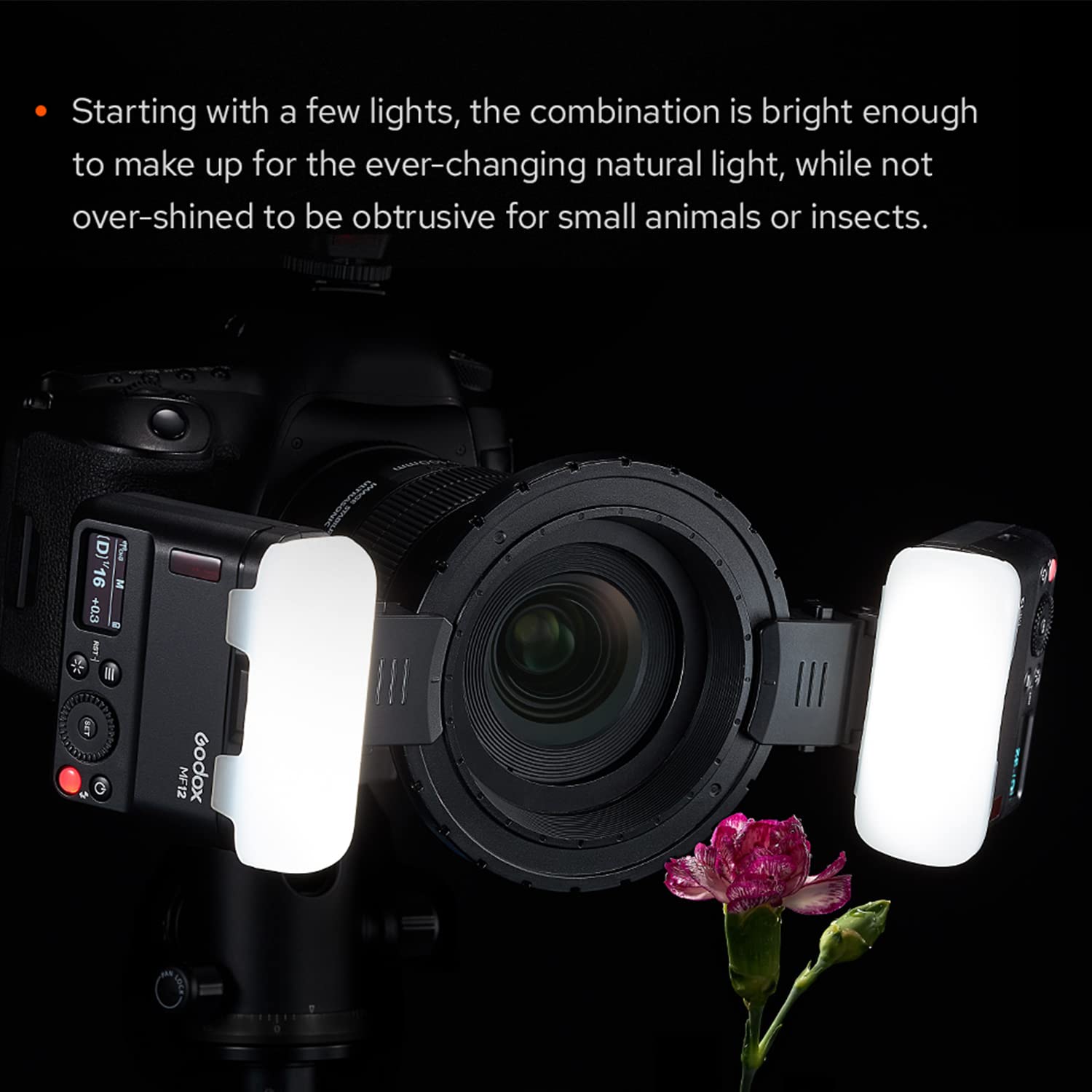 Godox MF12-K2 Macro Flash Kit - 2.4G Wireless TTL/M Mode Speedlight with Built-in Lithium Battery | Compatible with Nikon, Sony, Canon, Fuji, Olympus, Panasonic | Perfect for Product Photography, Jewelry Shots & Close-Up Macro Work