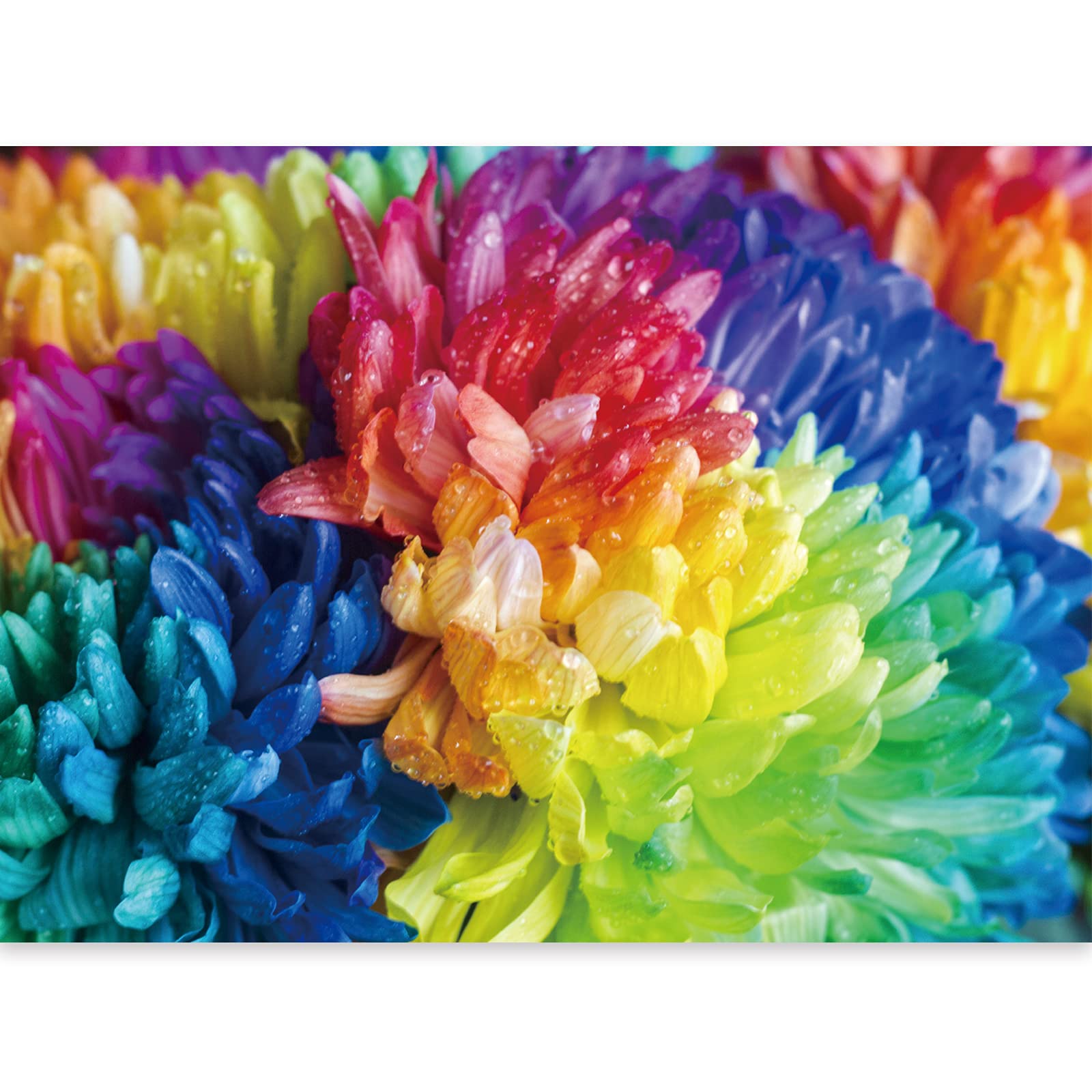 Motiloo 500-Piece Flower Jigsaw Puzzle - 20x14 Inch Colorful Floral Puzzle for Kids & Adults - Fun Family Activity for Relaxation & Brain Training - Perfect for Parties, Classrooms & Home Decor