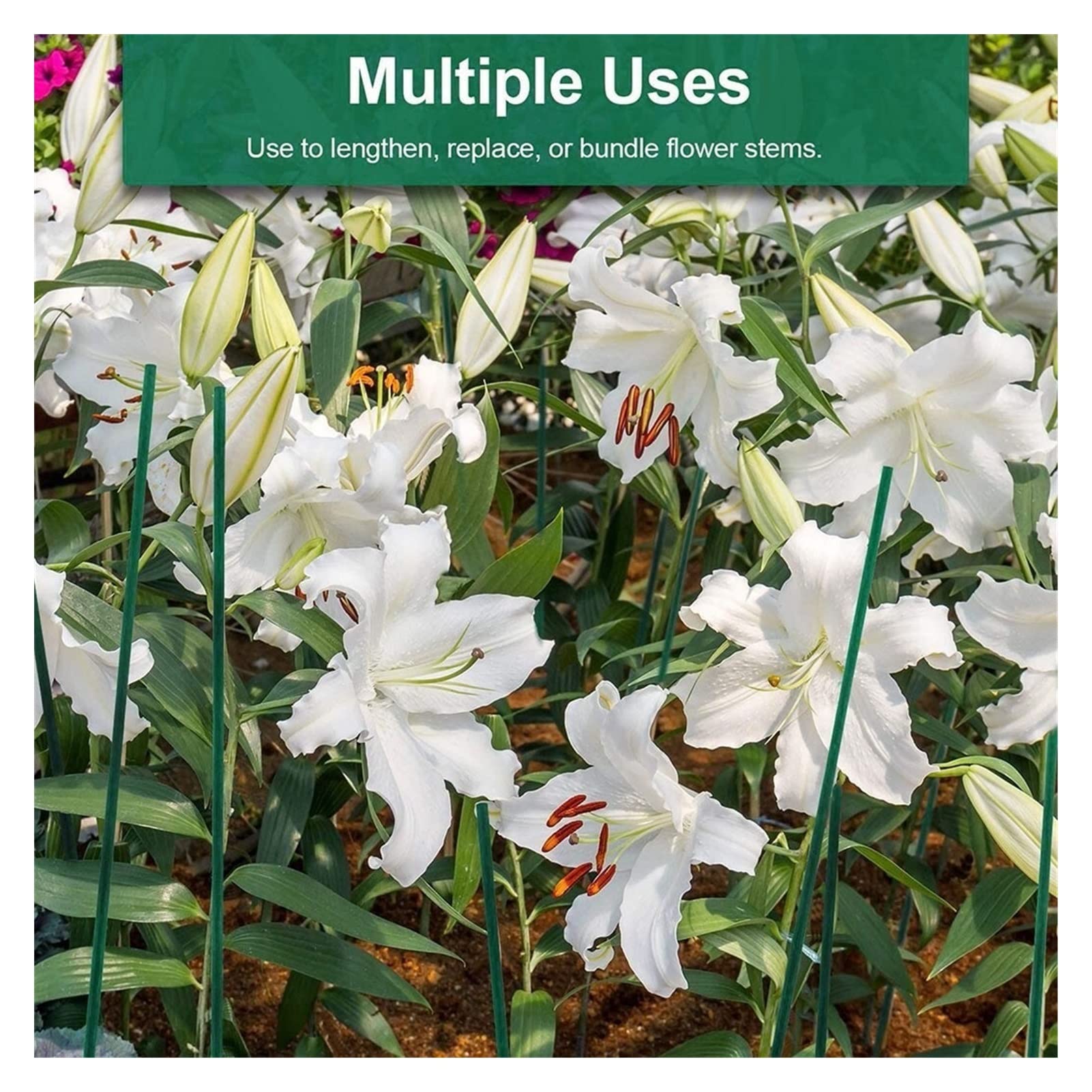 10pcs Bamboo Plant Stakes - Garden Ties for Floral Arrangements, Vegetable Support, and Green Plant Stakes | Perfect for Tomato Plants, Climbing Flowers, and Indoor/Outdoor Gardening