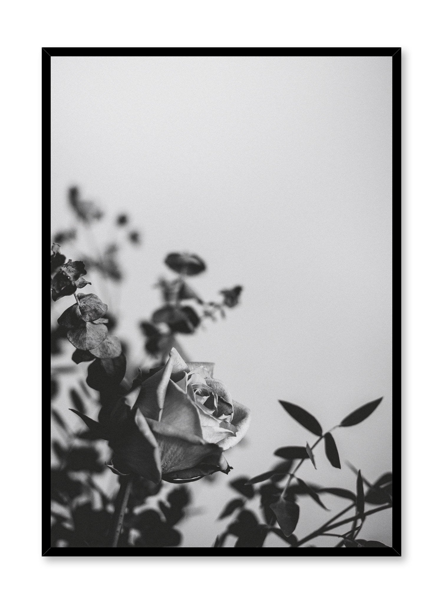 Romantic Rose Wall Art Poster - Elegant Floral Decor for Living Room, Bedroom & Office | Perfect Gift for Home Decor Lovers