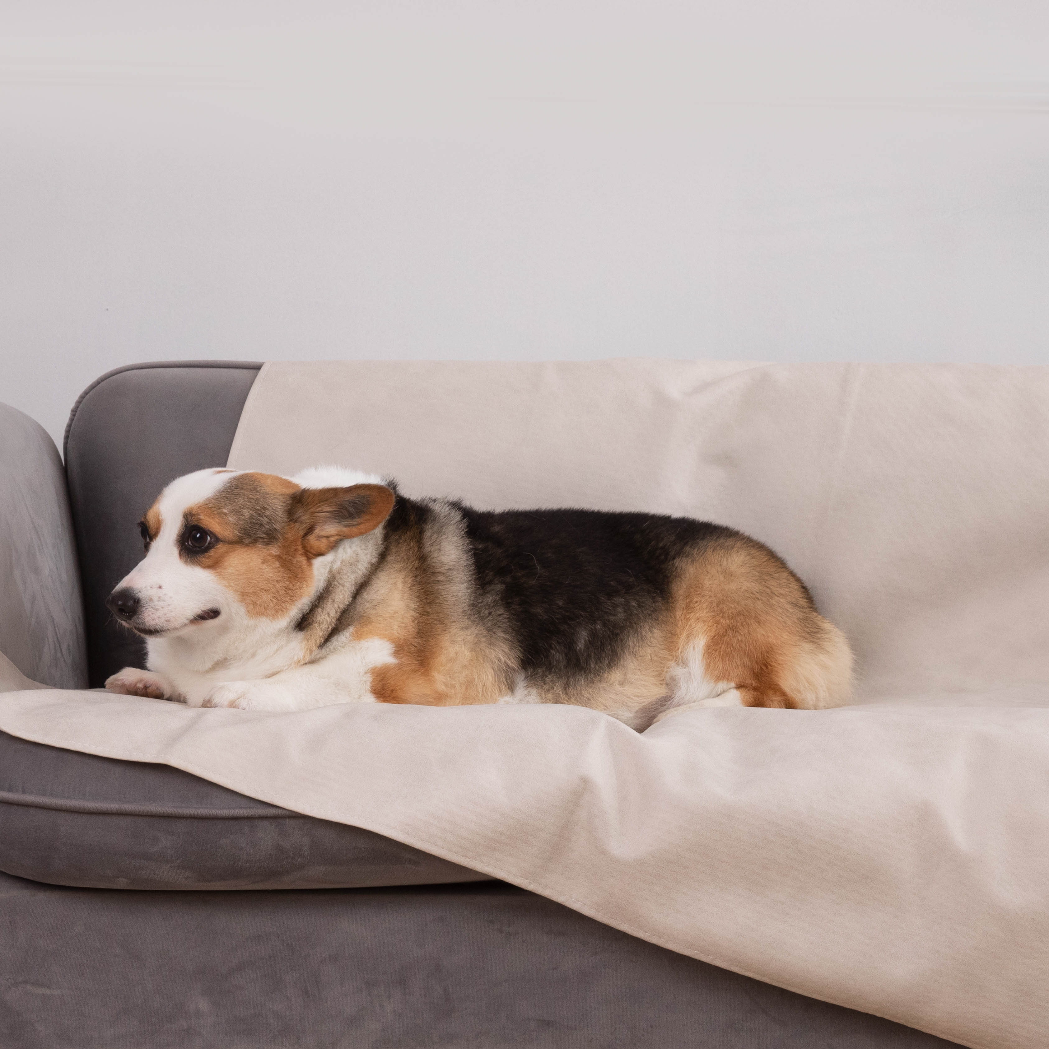 Waterproof Pet Sofa Cover for Dogs & Cats - Durable, Washable, Non-Slip Furniture Protector for Pets - Perfect for Living Room, Bedroom, and Couch Protection