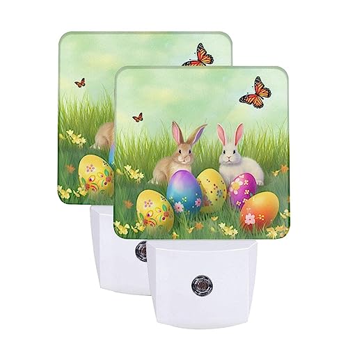Easter Rabbit Bunny