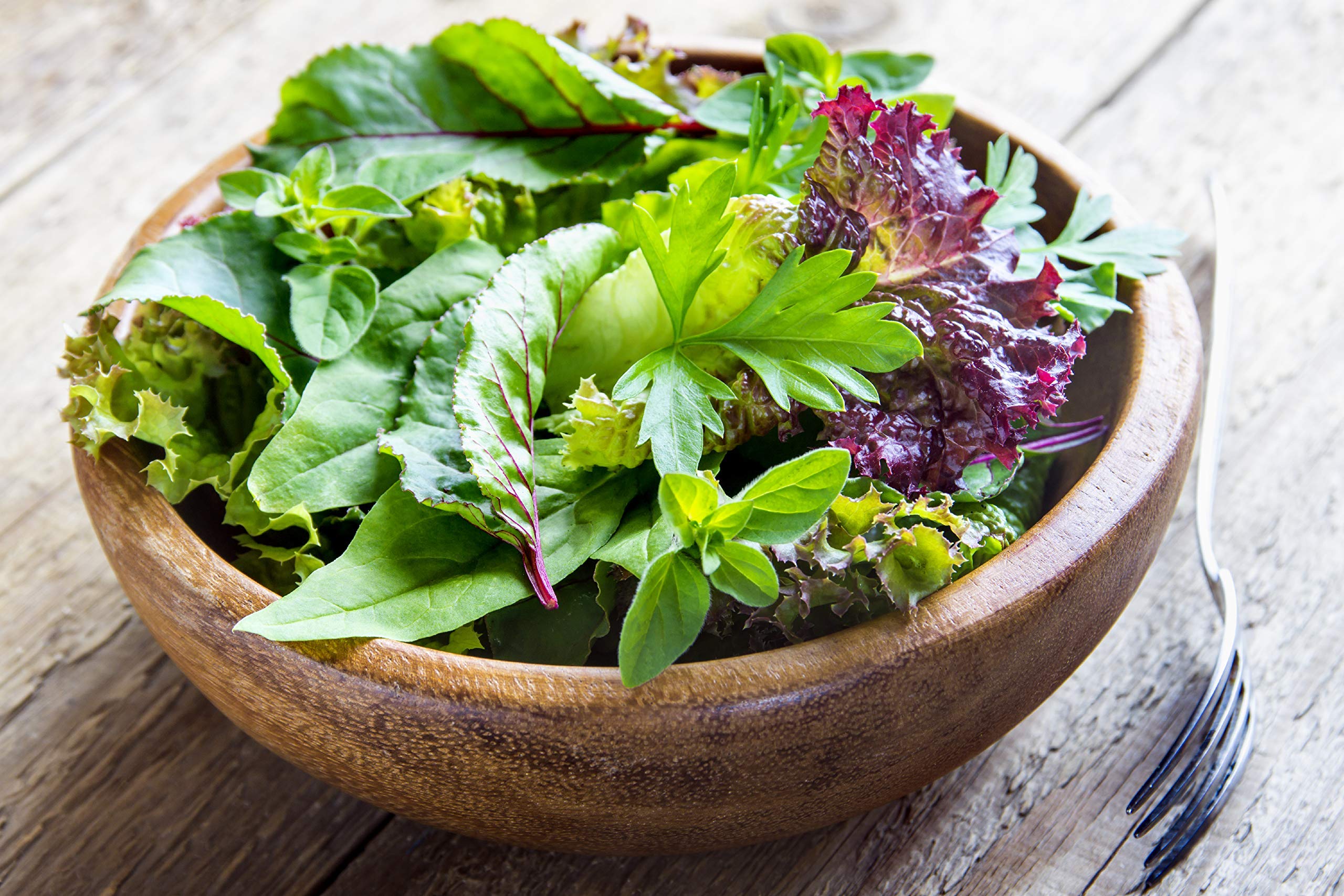 Organic Lettuce Spring Mix Salad Greens Seeds - 500 Heirloom Non-GMO Seeds for Hydroponic, Indoor & Outdoor Vegetable Gardening - Perfect for Home Gardens, Urban Farming & Healthy Salad Lovers
