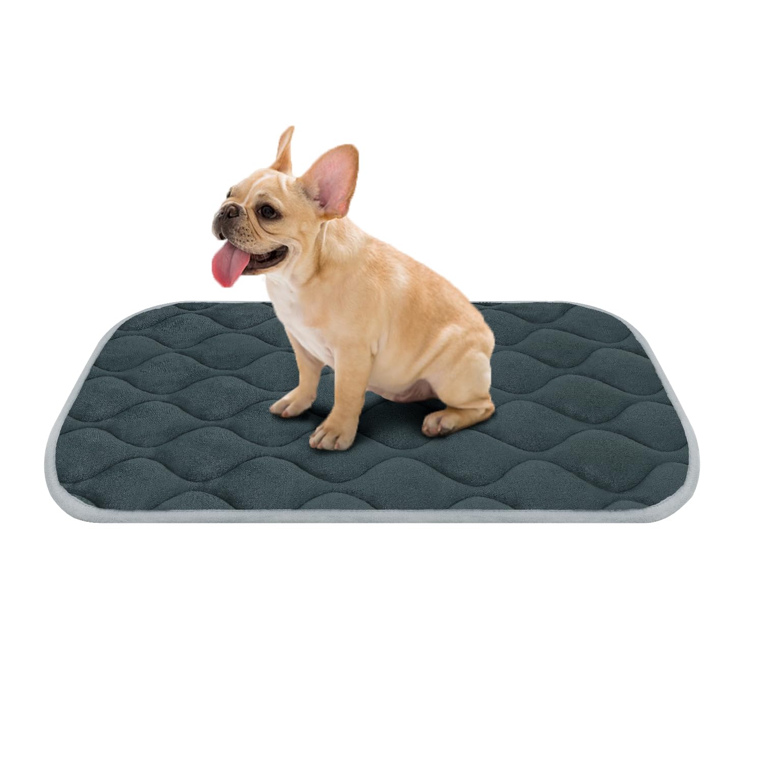 FurryBaby Non-Slip Dog Bed Mat - Machine Washable Pet Crate Pad for Kennels & Travel (30x19 Inch, Gray) - Perfect for Indoor Sleeping, Car Rides & Vet Visits