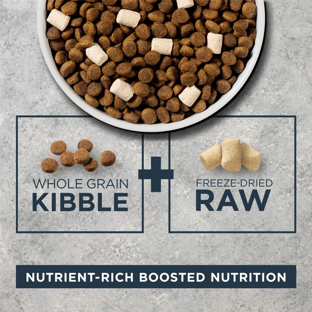 Instinct Raw Boost Whole Grain Lamb & Oatmeal Dry Dog Food - High Protein Grain-Inclusive Kibble for Adult Dogs, 20 lb Bag - Perfect for Active Dogs & Daily Nutrition