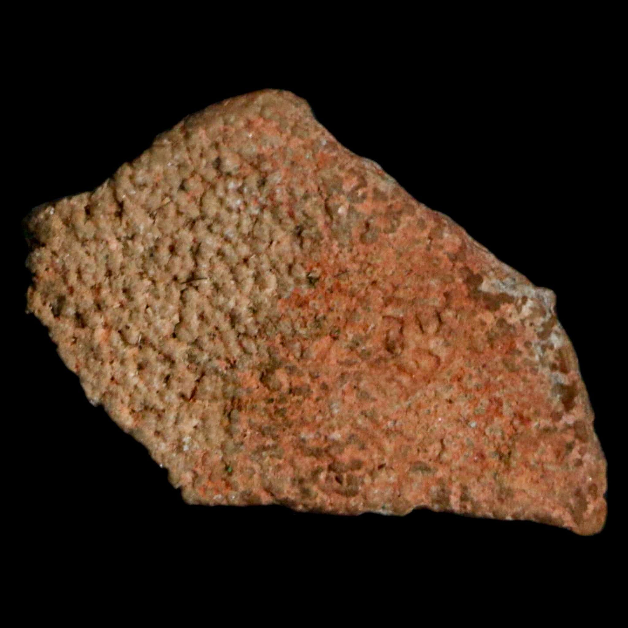 Authentic 0.5 Megaloolithus Titanosaur Dinosaur Fossil Egg Shell from Bouches-du-Rhône, France - Rare Collector's Item for Museum Display & Paleontology Enthusiasts | Perfect for Educational Exhibits, Home Decor, and Fossil Collections