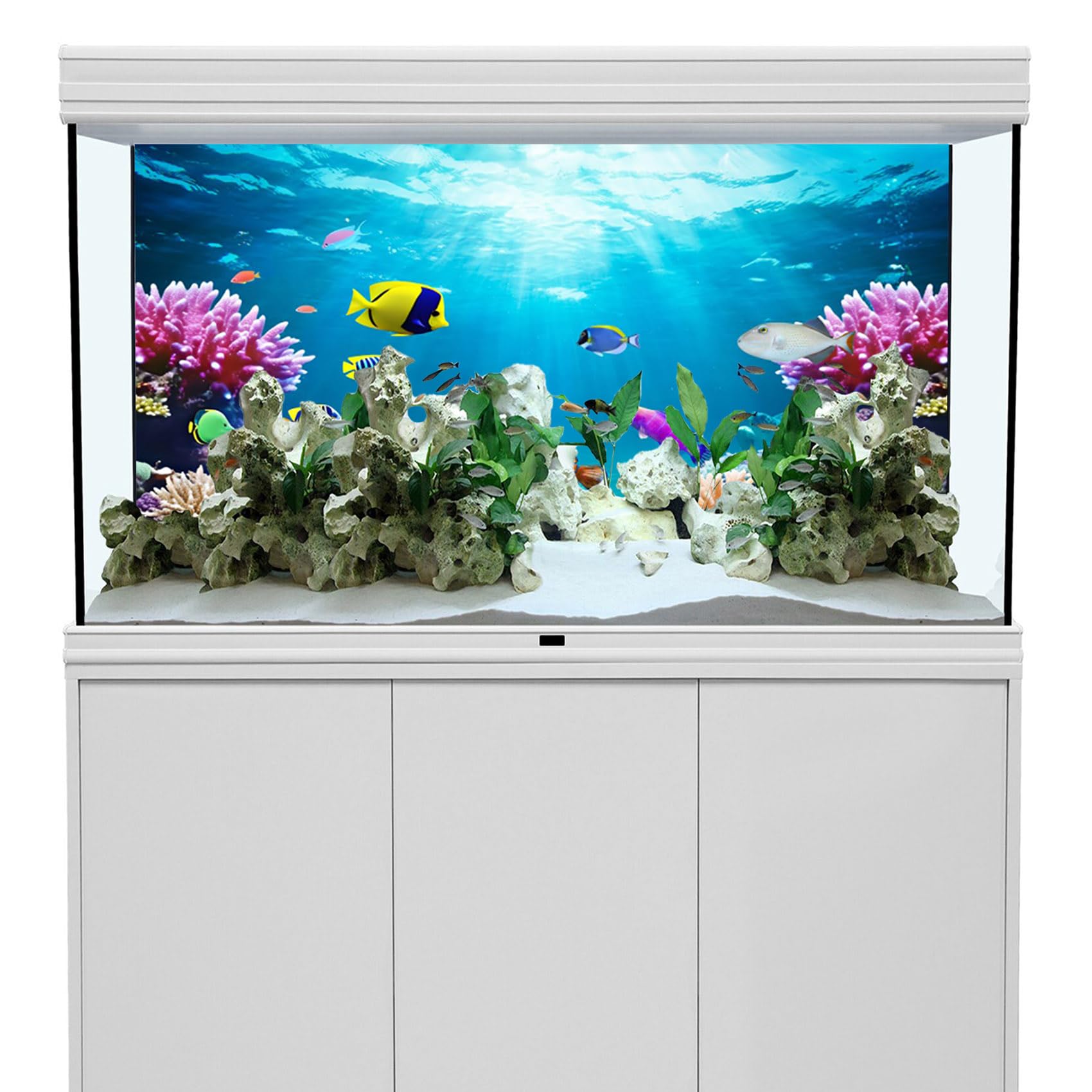 36x24 Inch Aquarium Background - Coral Seaweed Reef Rock Tropical Fish Underwater Scene for Fish Tanks, Reptile Terrariums & Bearded Dragon Habitats | Vibrant Underwater Sea World Backdrop for Home & Office Decor