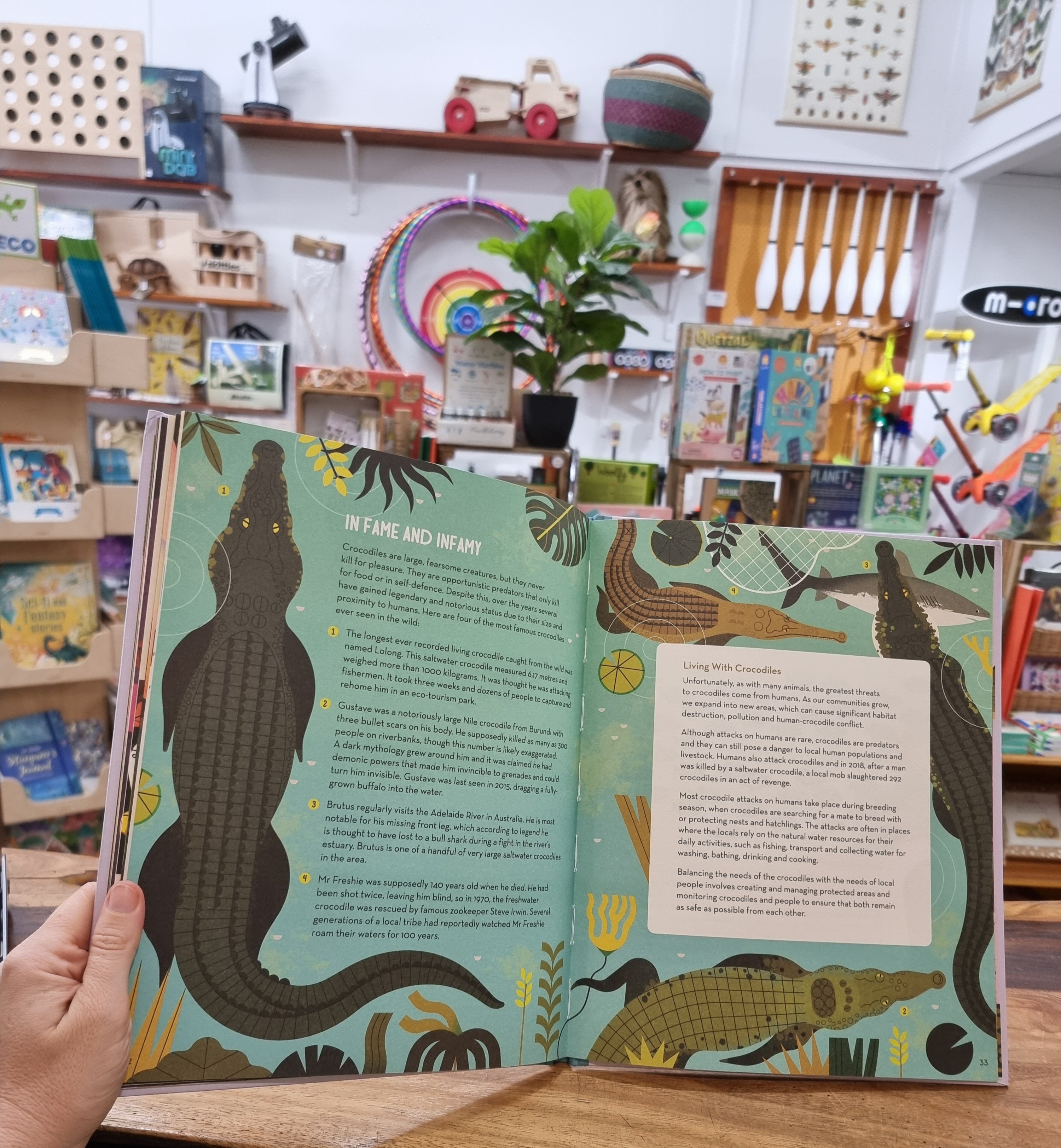 Curious About Crocodiles: Illustrated Animal Book for Kids by Owen Davey - Perfect for Bedtime Stories & Wildlife Education