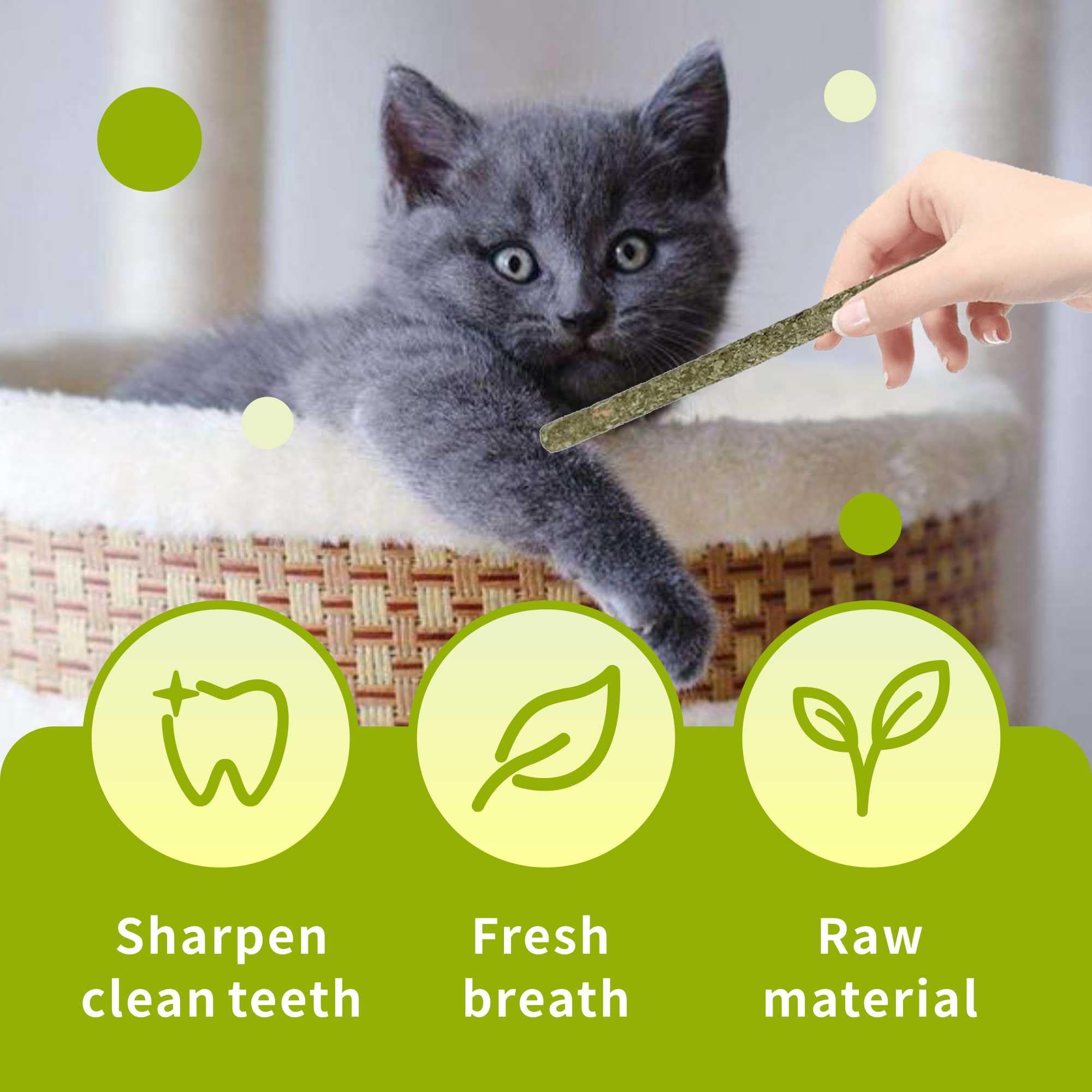 12 Pack Natural Silvervine Cat Chew Sticks - Catnip Dental Treats for Teeth Cleaning, Kitten Teething Toys & Edible Kitty Chew Toys - Perfect for Indoor Cats & Playtime Enrichment
