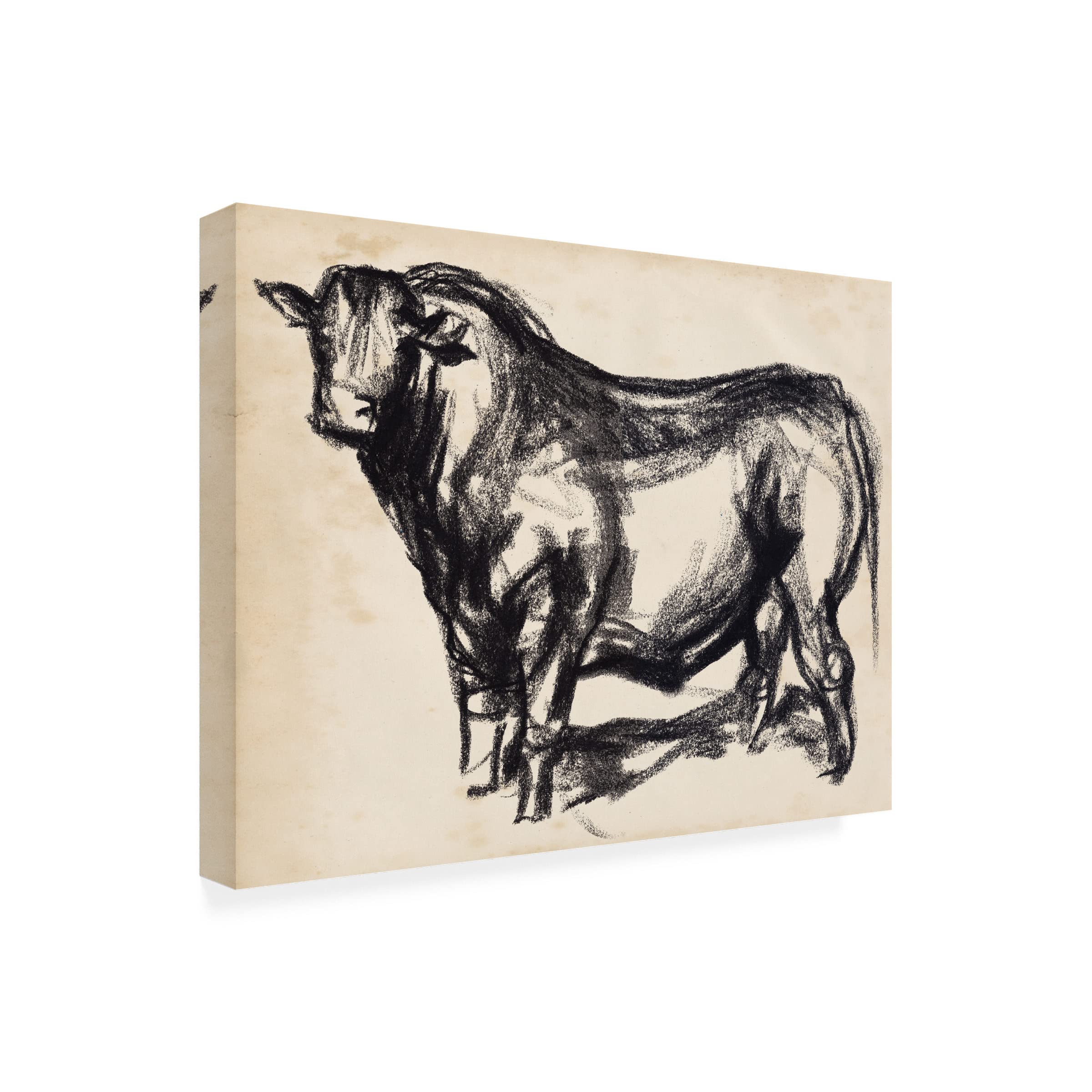 Black Angus II Canvas Art Print by Jennifer Paxton Parker - Premium Trademark Fine Art Wall Decor for Living Room, Bedroom & Office