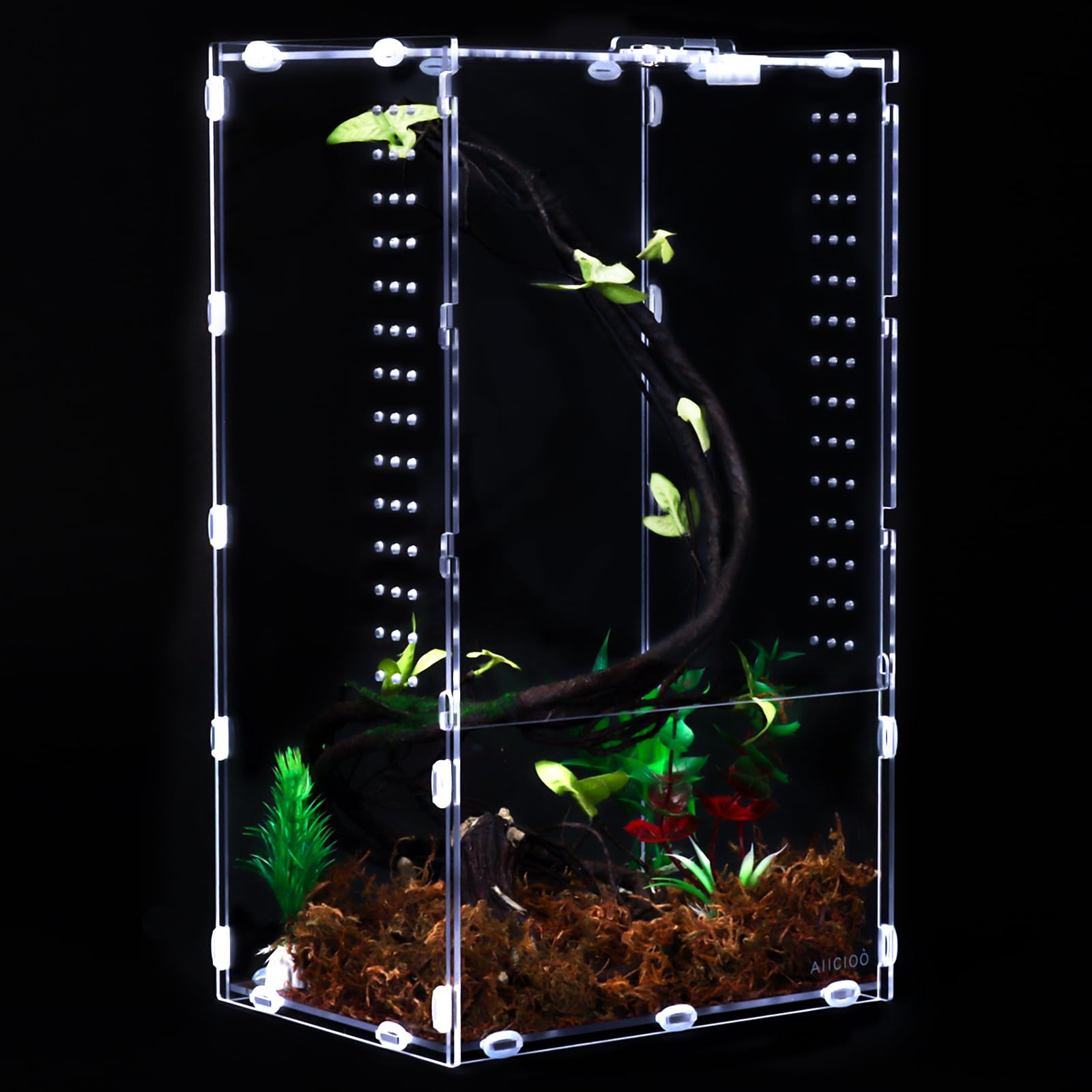Aiicioo 8x6x14 Inches Clear Acrylic Micro Habitat Terrarium - Tarantula Enclosure, Insect Habitat & Reptile Feeding Tank for Jumping Spiders, Small Tree Dwelling Reptiles | Perfect for Classroom Observation, Home Decor & Pet Habitat Display