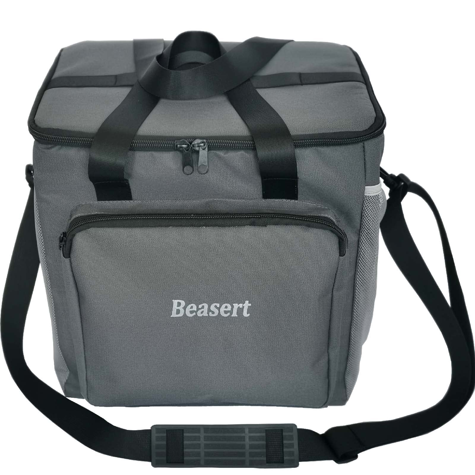 Insulated Lunch Bag for Women & Men - 10L Thermal Reusable Cooler Bag, Leakproof Soft Lunch Tote for Camping, Picnic, Beach, Travel, Office & Work - Perfect Gift for Outdoor Enthusiasts & Professionals