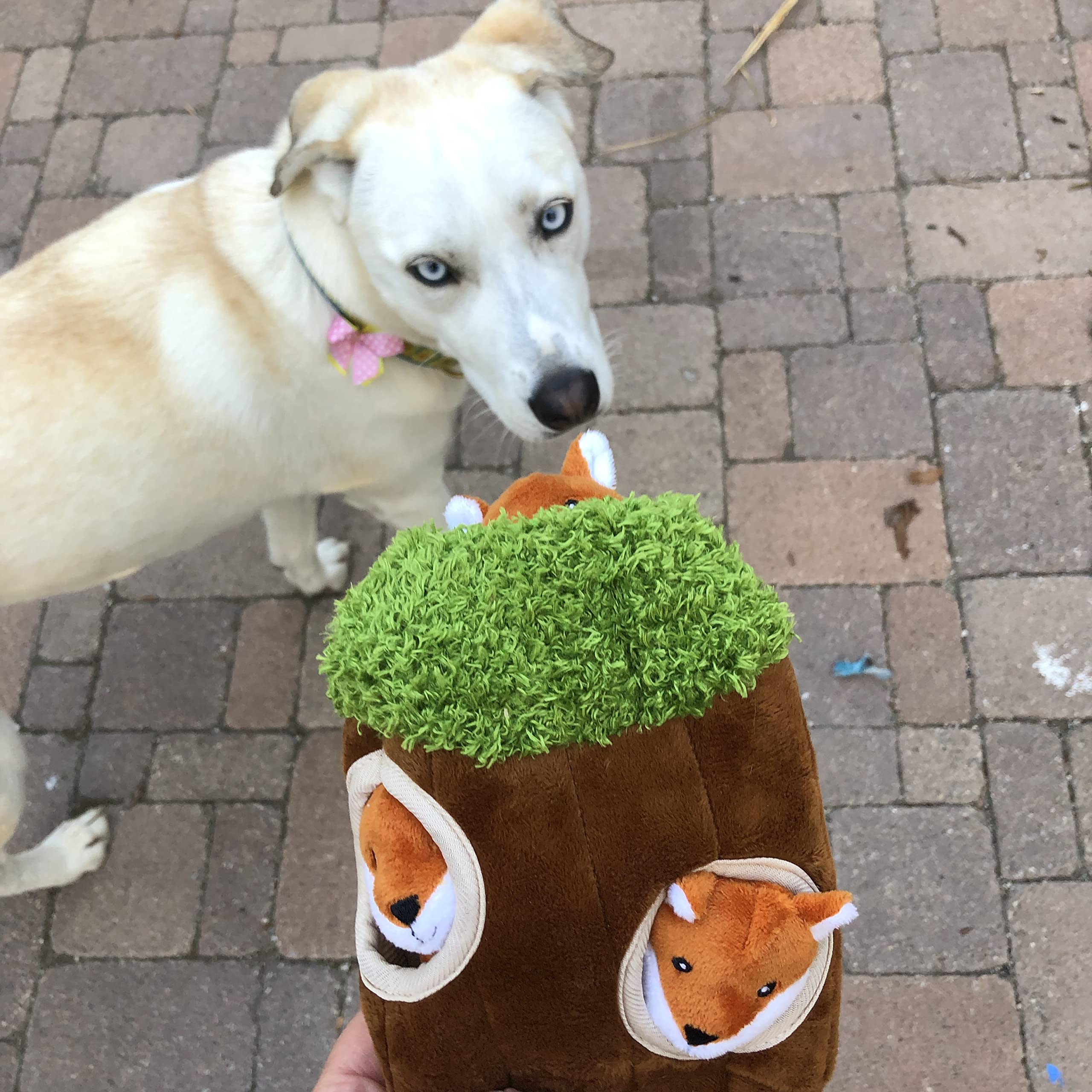 Interactive Plush Fox Hide and Seek Dog Toy with Squeaker - Fun Burrow Game for Small & Medium Dogs | Fox in Tree Trunk Design for Indoor Play & Training
