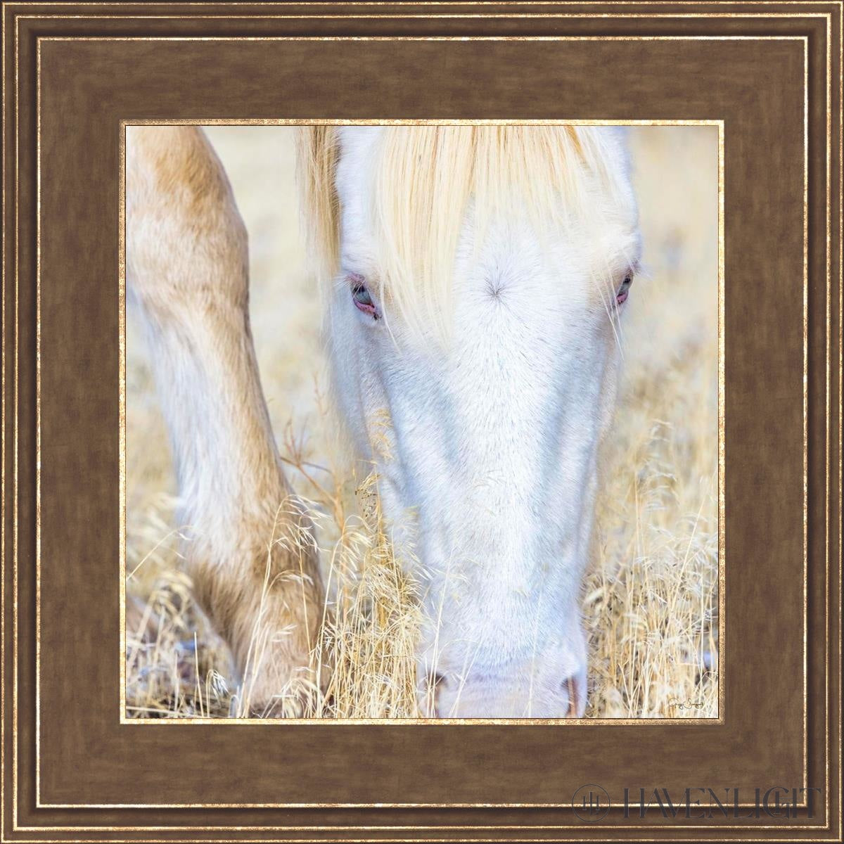 Dry Grass by Greg Sargent - Premium Handcrafted Home Decor for Rustic & Farmhouse Style - Perfect for Wall Art, Shelf Displays & Cozy Living Room Decor