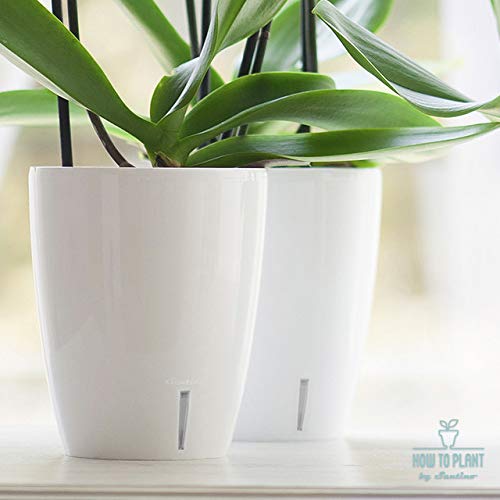 5.5 Inch Self Watering Orchid Pot with Wick System - Blue Decorative Planter with Aeration, Drainage & Water Level Indicator for Healthy Orchid Growth - Perfect for Home, Office & Indoor Garden Decor