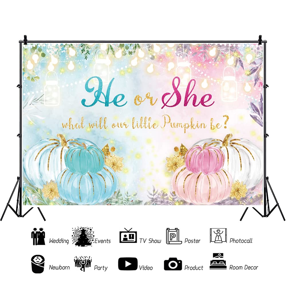 Leyiyi 12x10ft Gender Reveal Backdrop - Rustic Floral Pink & Blue Pumpkin Photography Background with Glitter - Perfect for Baby Shower, Gender Reveal Party Decorations & Newborn Photo Shoots