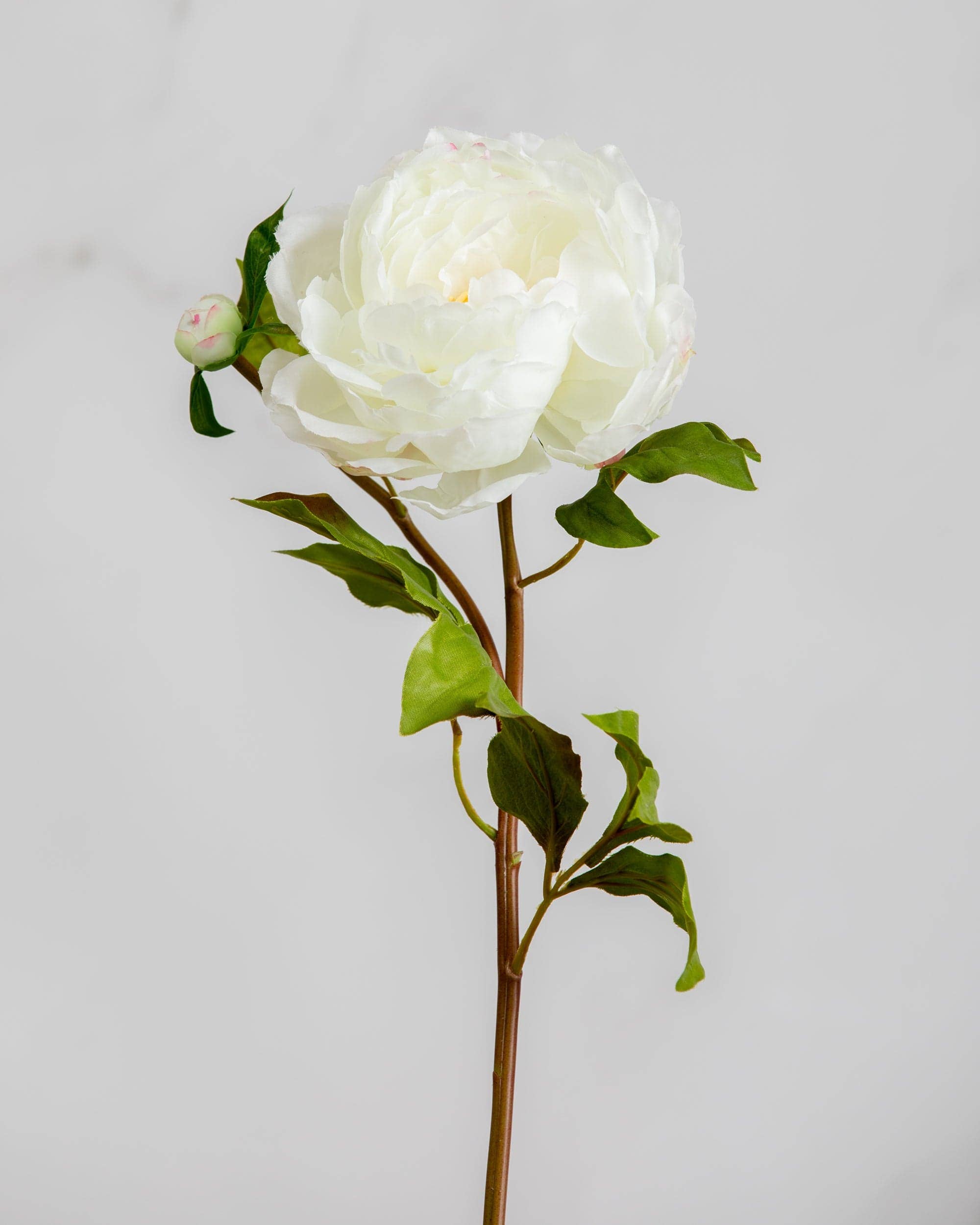 Artificial White Peony Silk Flower Bouquet - 19.5 Inch Realistic Fake Peony Stems for Home Decor, Wedding Centerpieces & Floral Arrangements