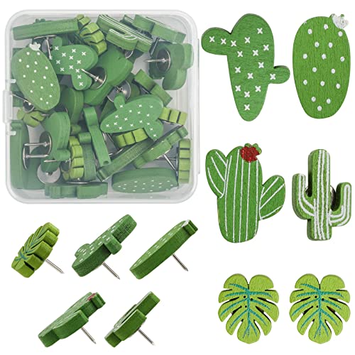 30-cactus