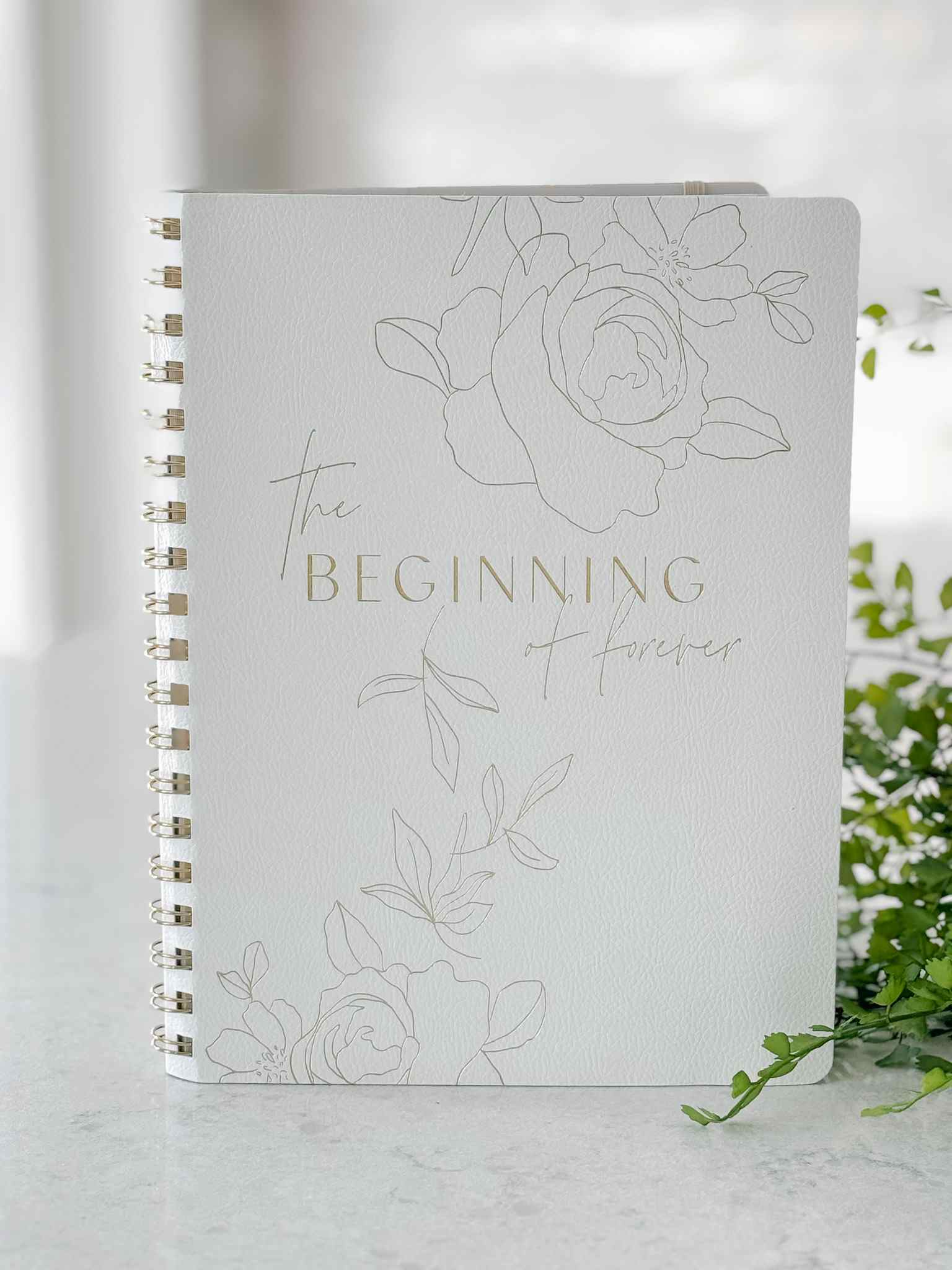 Professional Wedding Planner & Organizer - Stress-Free Wedding Planning for Brides & Grooms | Perfect for Destination Weddings, Elopements & Large Celebrations