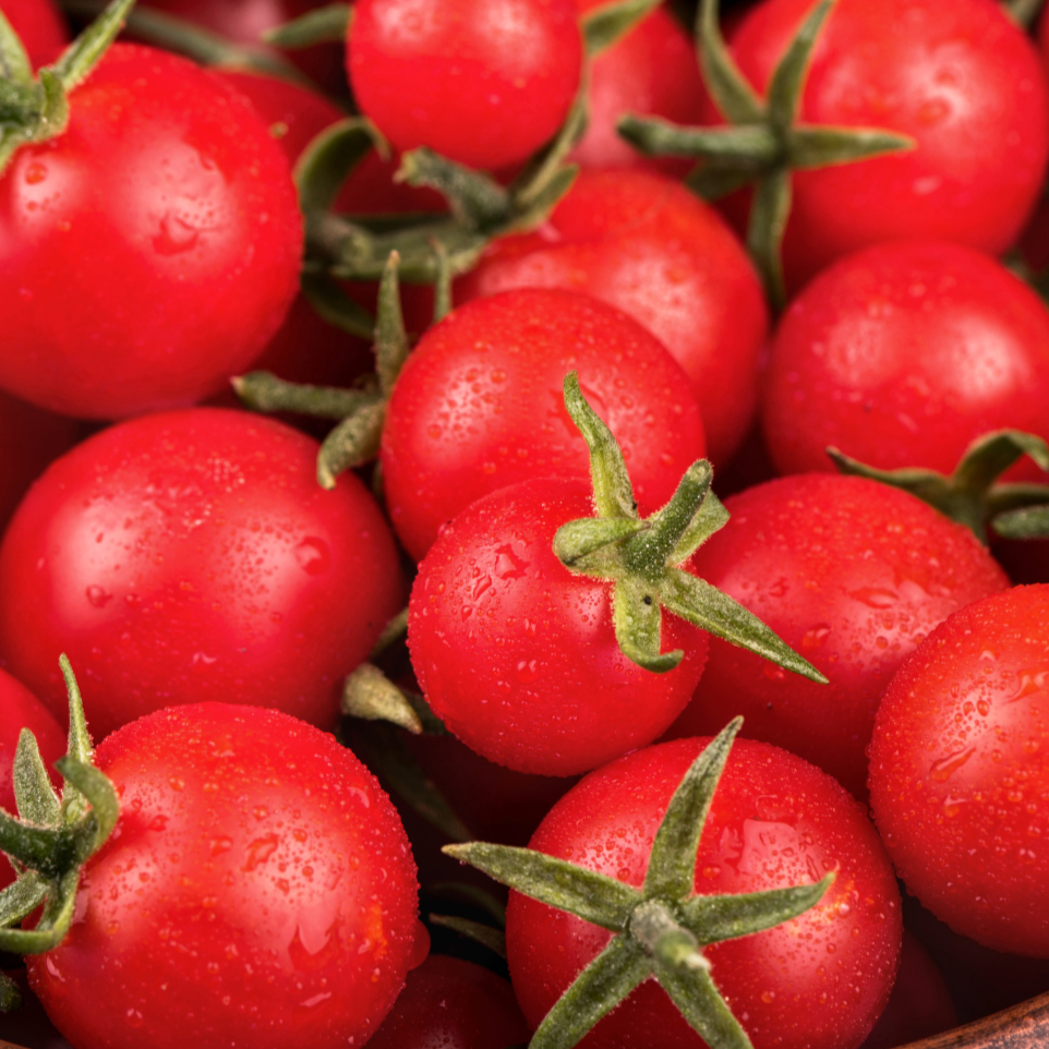 Organic Sweetie Tomato Seeds for Planting - Non-GMO, Heirloom Cherry Tomato Seeds for Home Garden, Greenhouse & Container Gardening - Perfect for Salads, Snacking & Fresh Eating